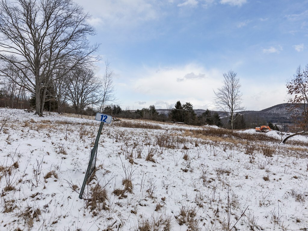 Property Photo:  Lot 12 Hemlock Hills Rd  PA 18848 