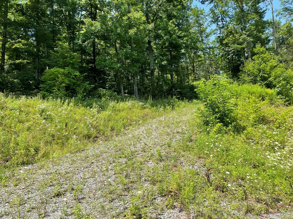 Property Photo:  Lot 47 Hemlock Hills Rd  PA 18848 