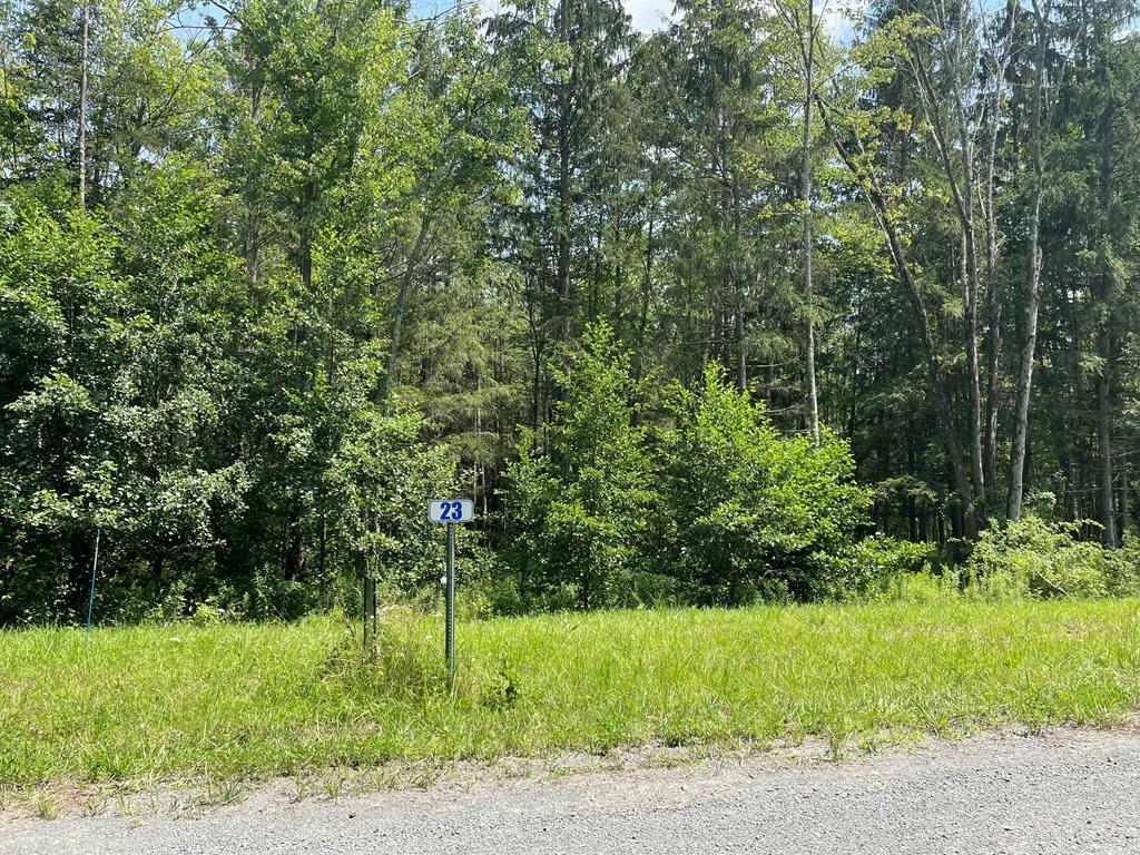 Property Photo:  Lot 23 Hemlock Hills Rd  PA 18848 