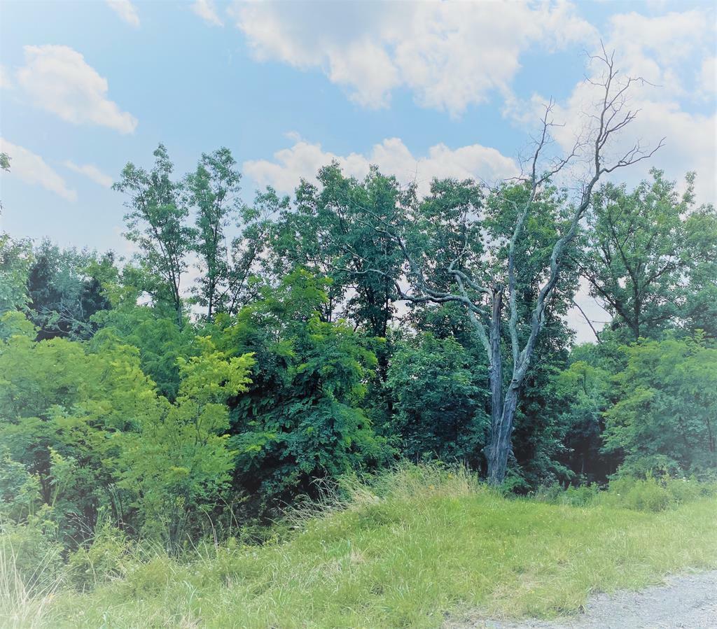 Property Photo:  Lot 2 Hemlock Hills Rd  PA 18848 