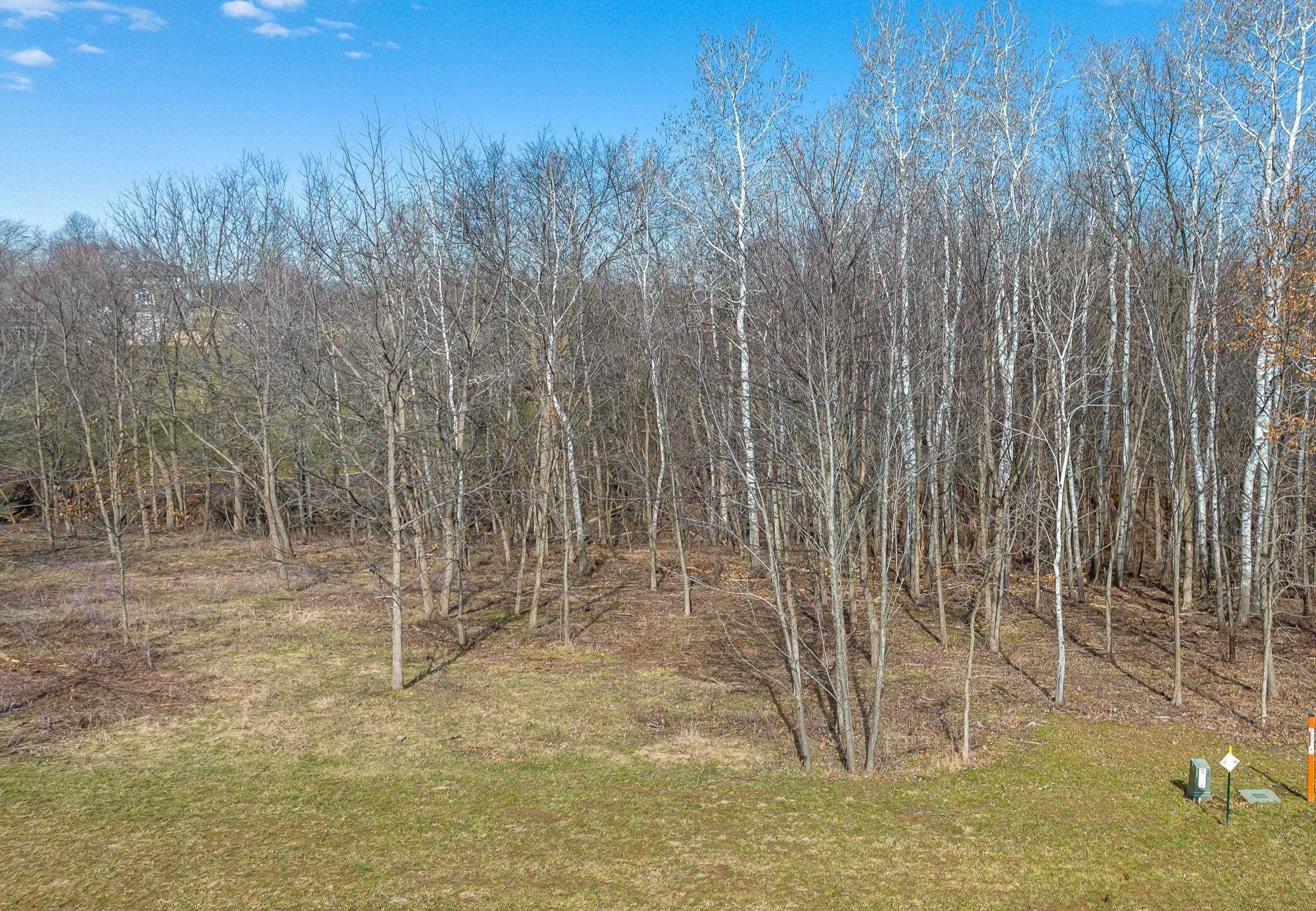 Property Photo:  Lot 17 Galena Golf View Estates Phase Ii  IL 61036 