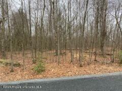 Property Photo:  Rainbow Run Lot 65  PA 18424 