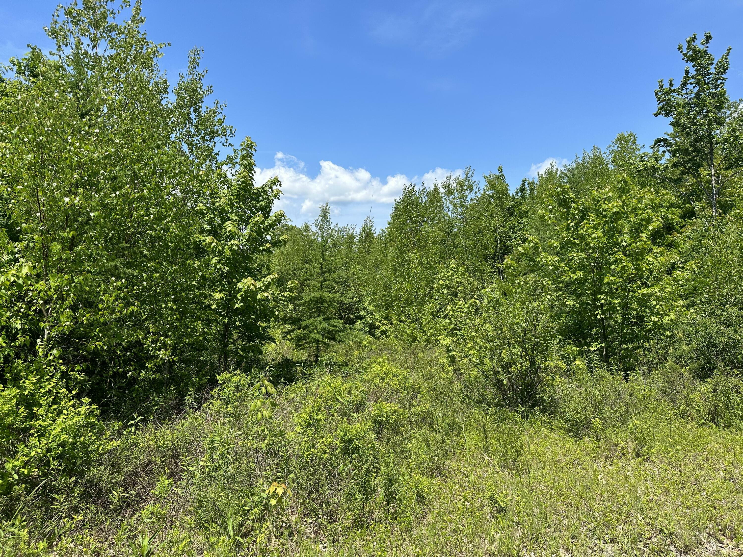 Property Photo:  Map7lot64 Blackswoods Road  ME 04634 