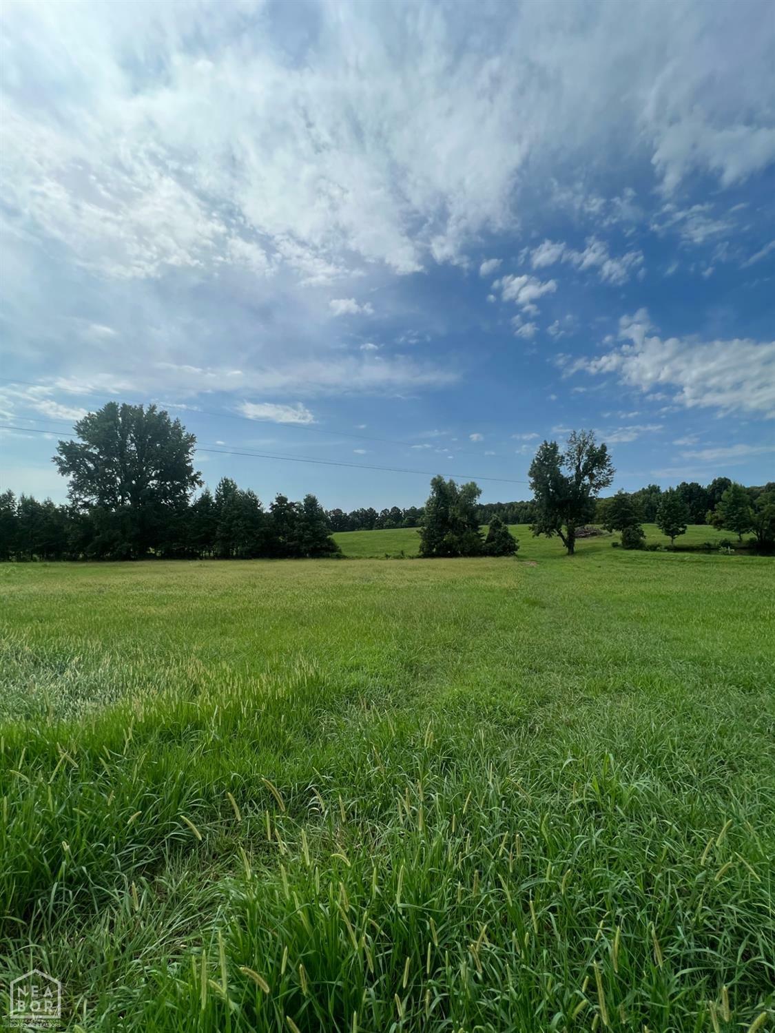 Property Photo:  1199 County Road 762  AR 72417 