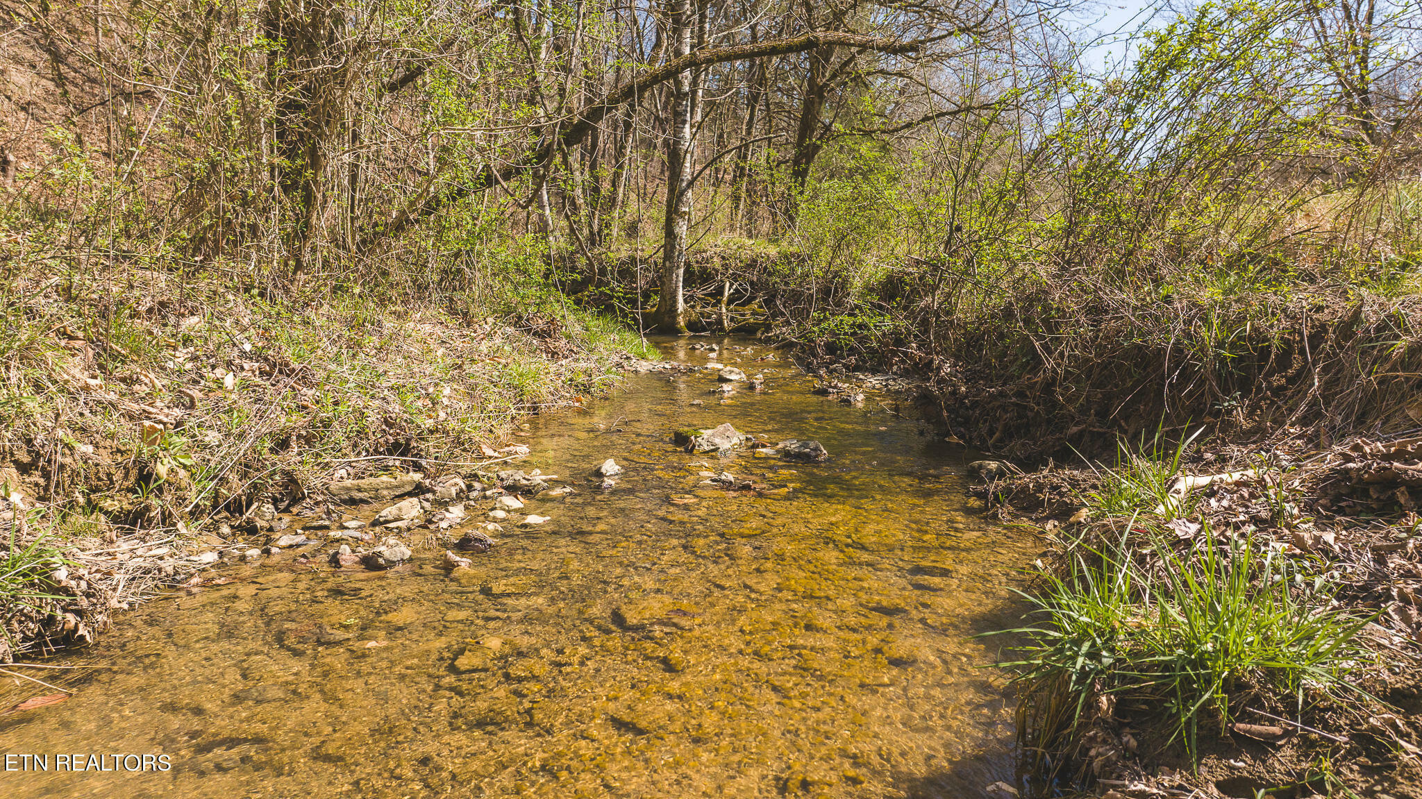 Property Photo:  15.65 Acre Willis Chapel Rd  TN 37765 