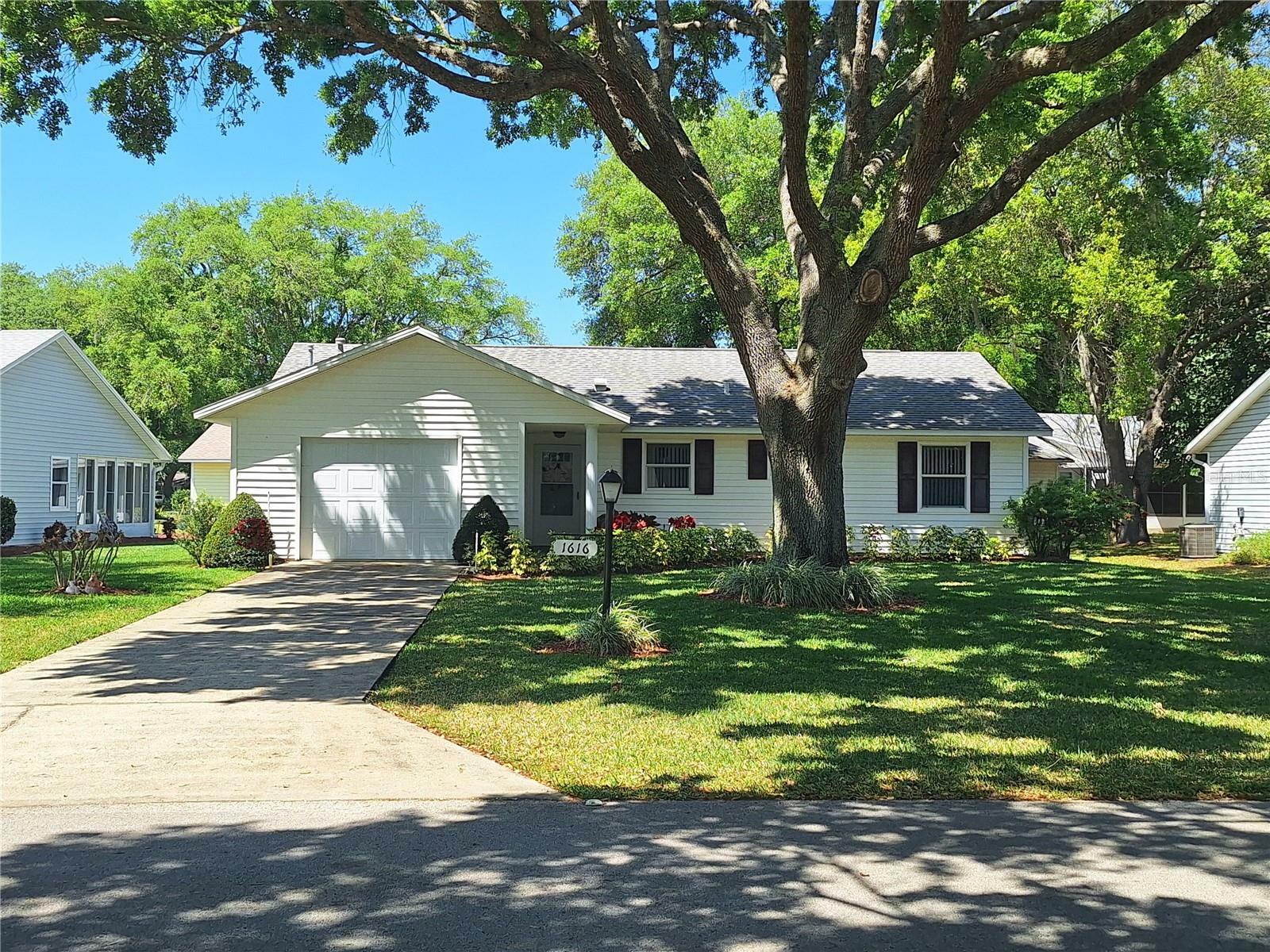 Property Photo:  1616 New Abbey Avenue  FL 34788 