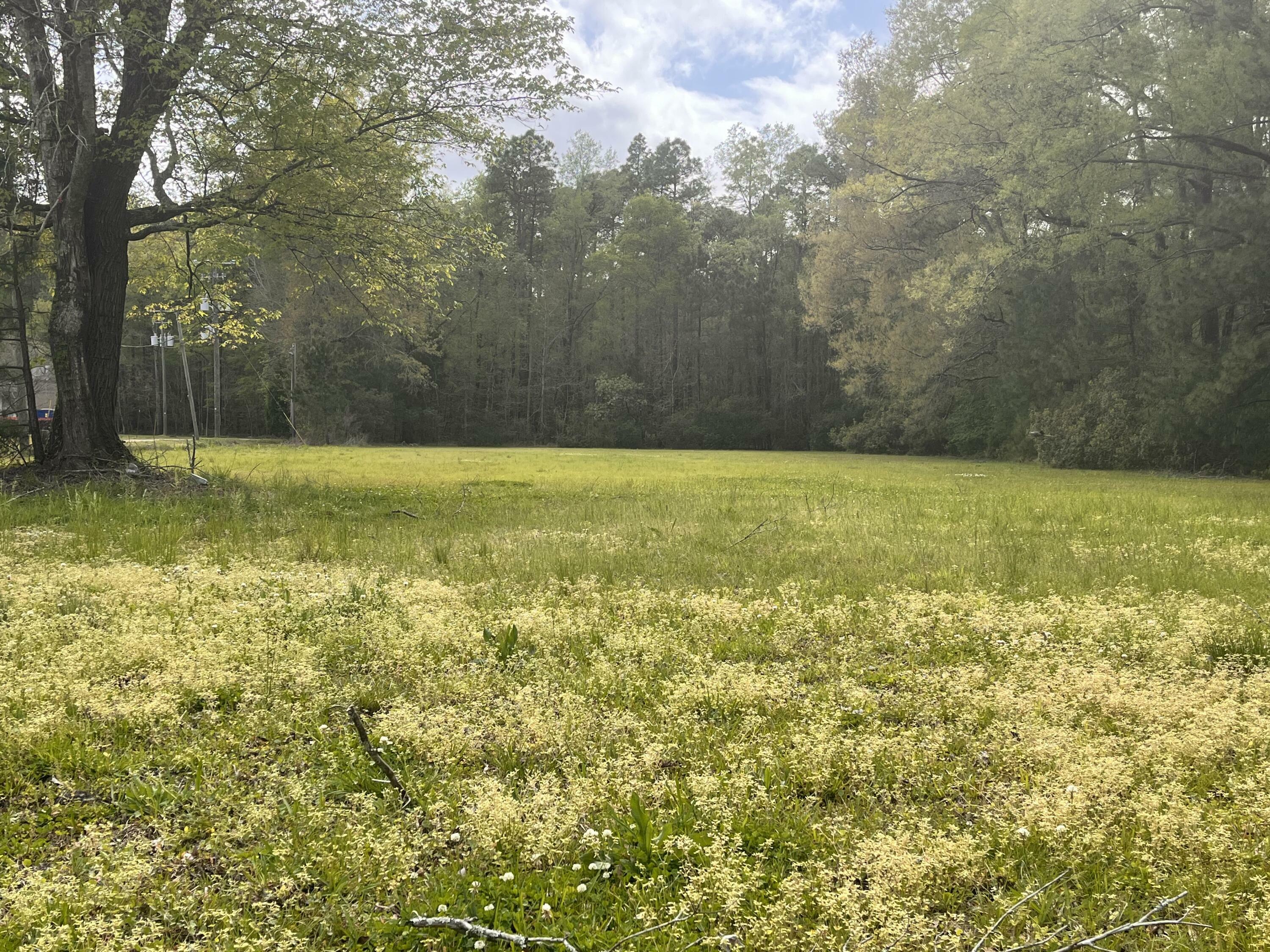 Property Photo:  395 S Railroad Avenue  SC 29472 