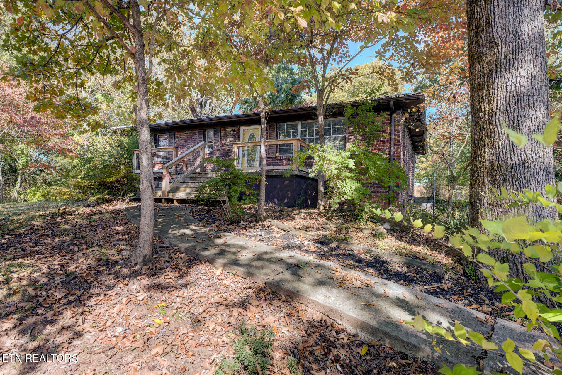 Property Photo:  154 Alfred McCammon Rd  TN 37804 