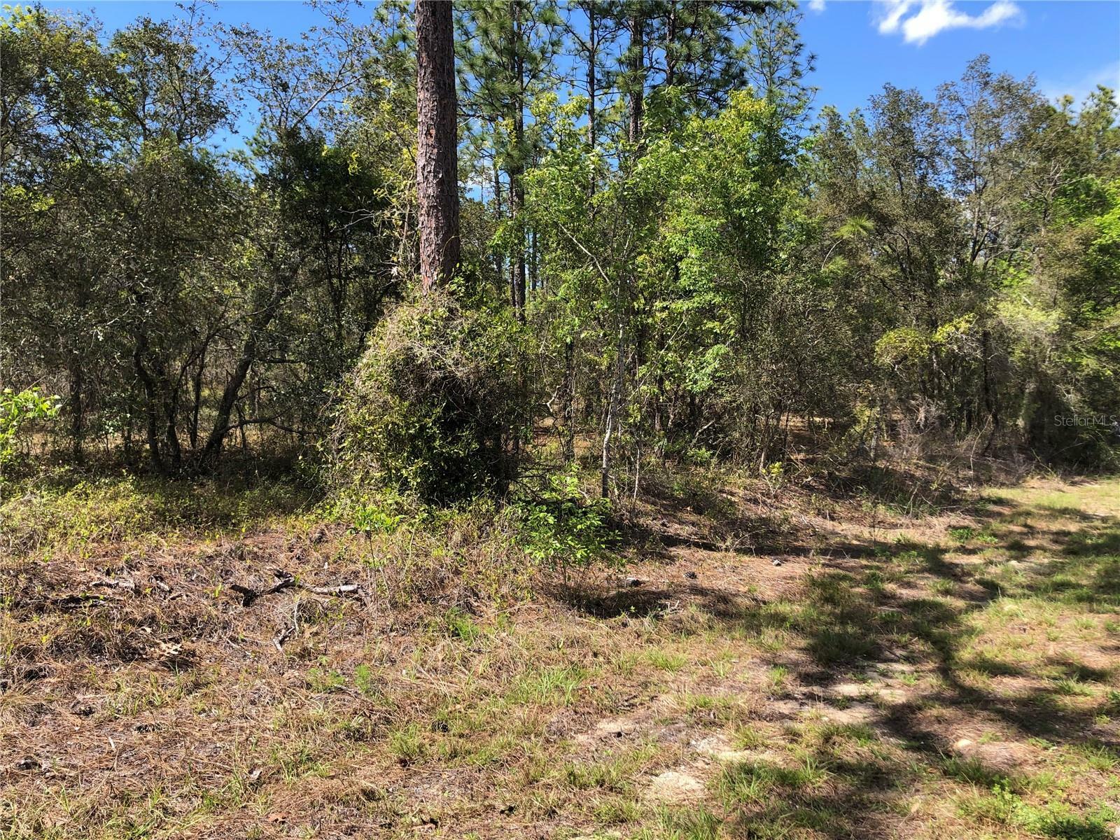 Property Photo:  Lot 13 NW Commodore Road  FL 34431 