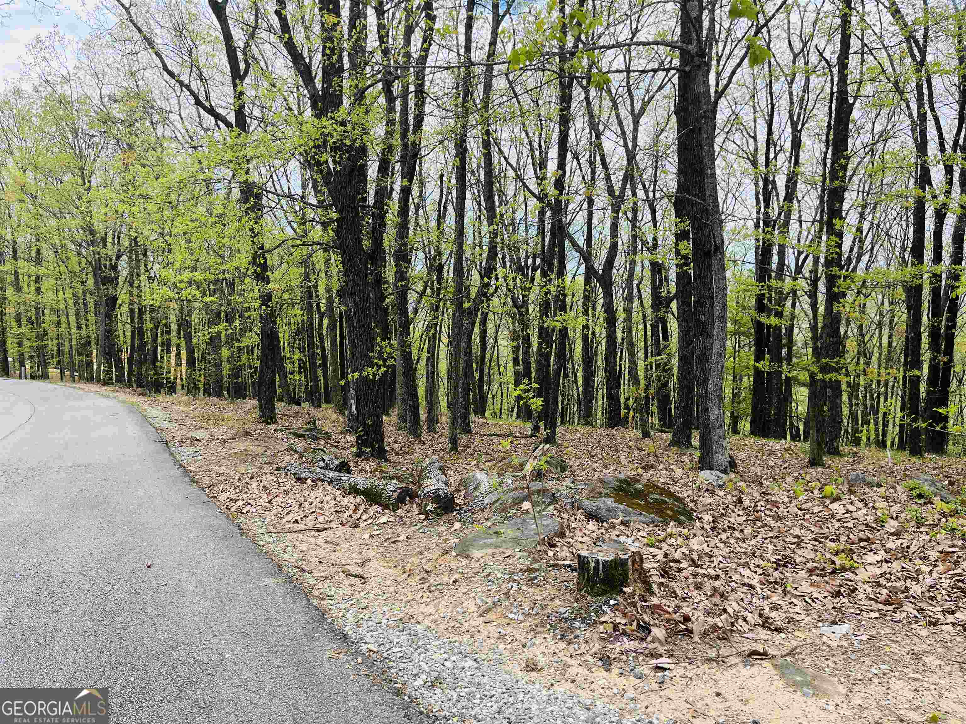 Property Photo:  0 Mountainside Drive - Lot 37  GA 30528 