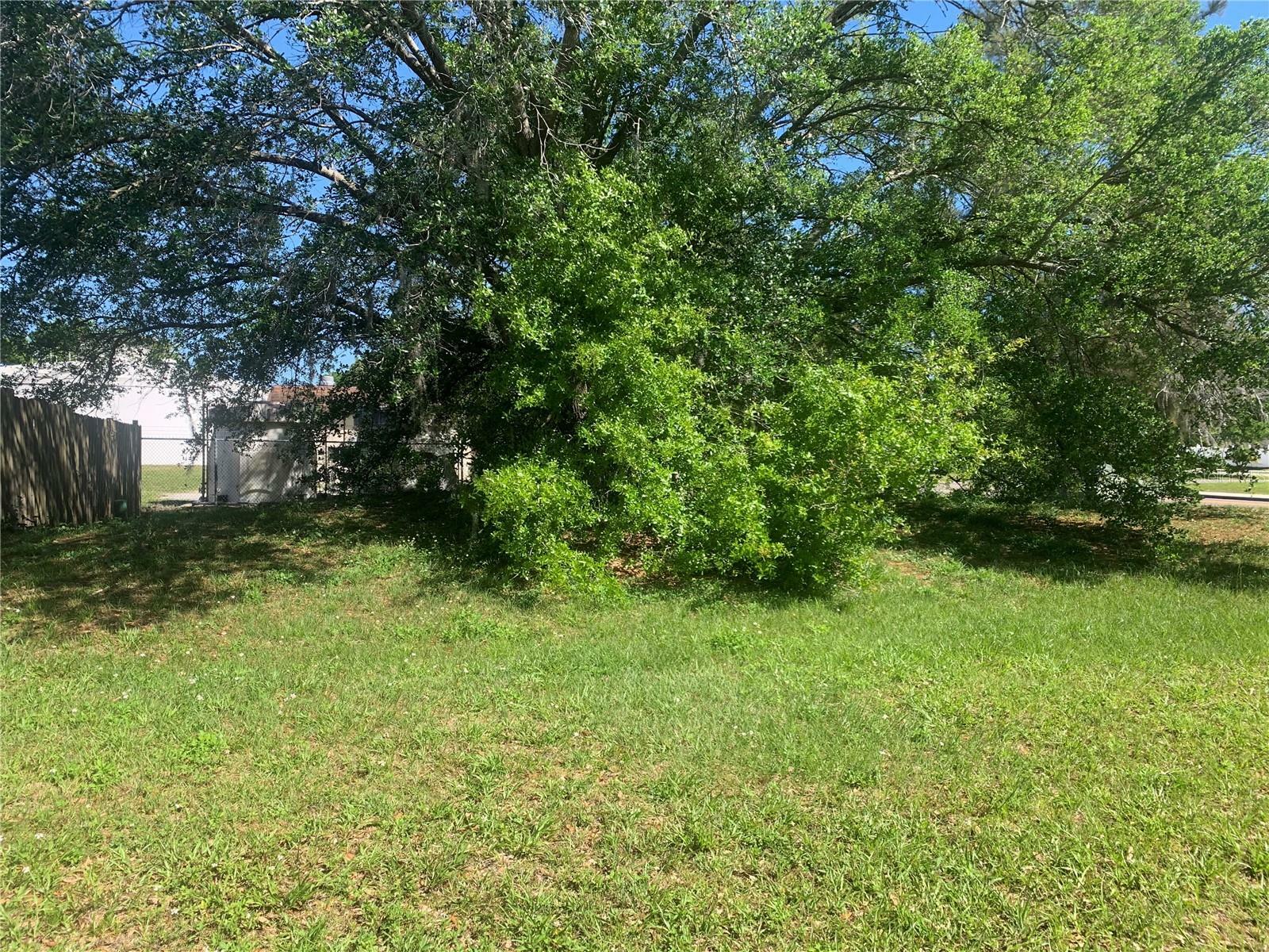 Property Photo:  601 Bogie Lane  FL 34759 