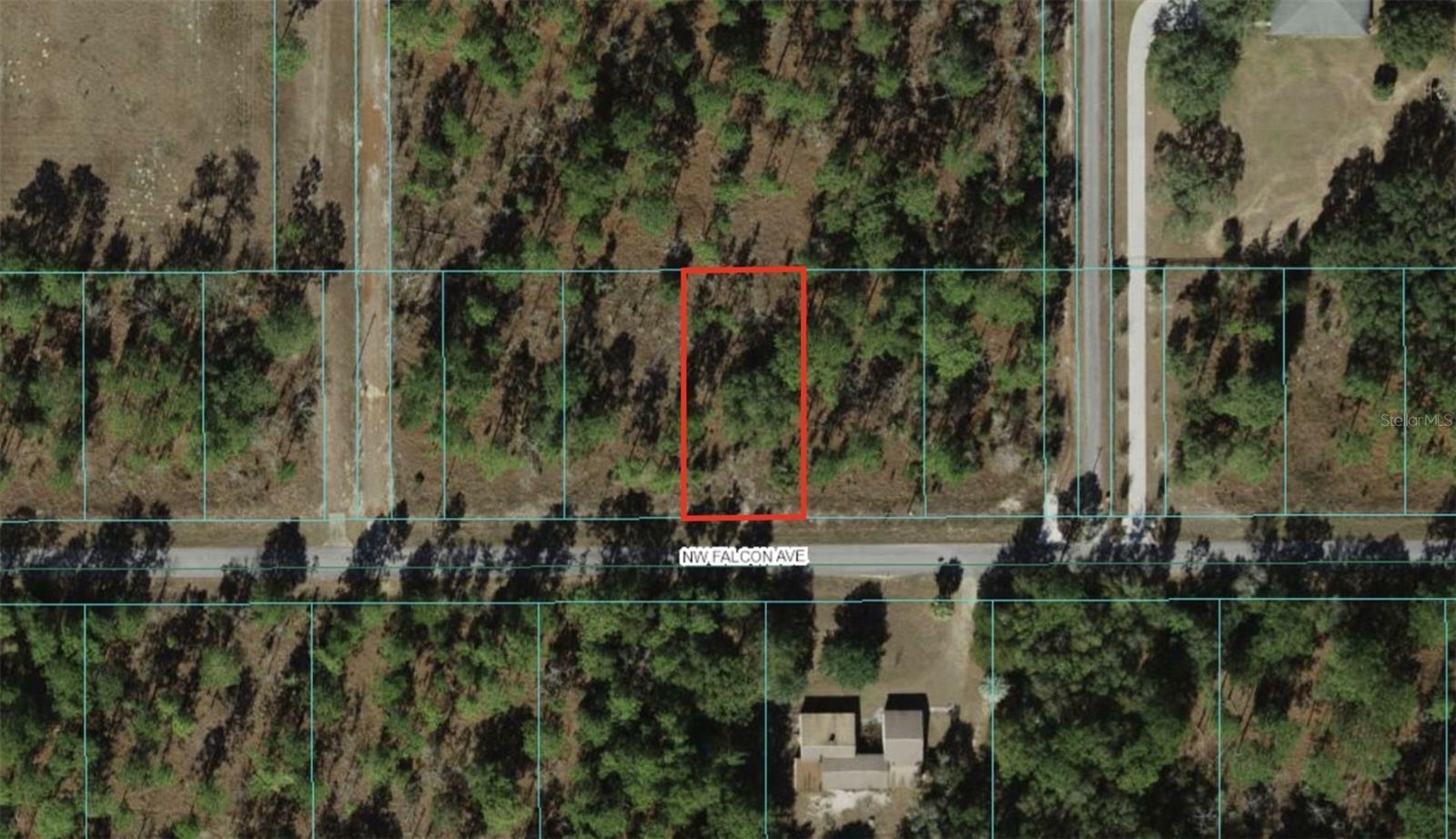 Property Photo:  0 NW Falcon Avenue Lot 23  FL 34431 