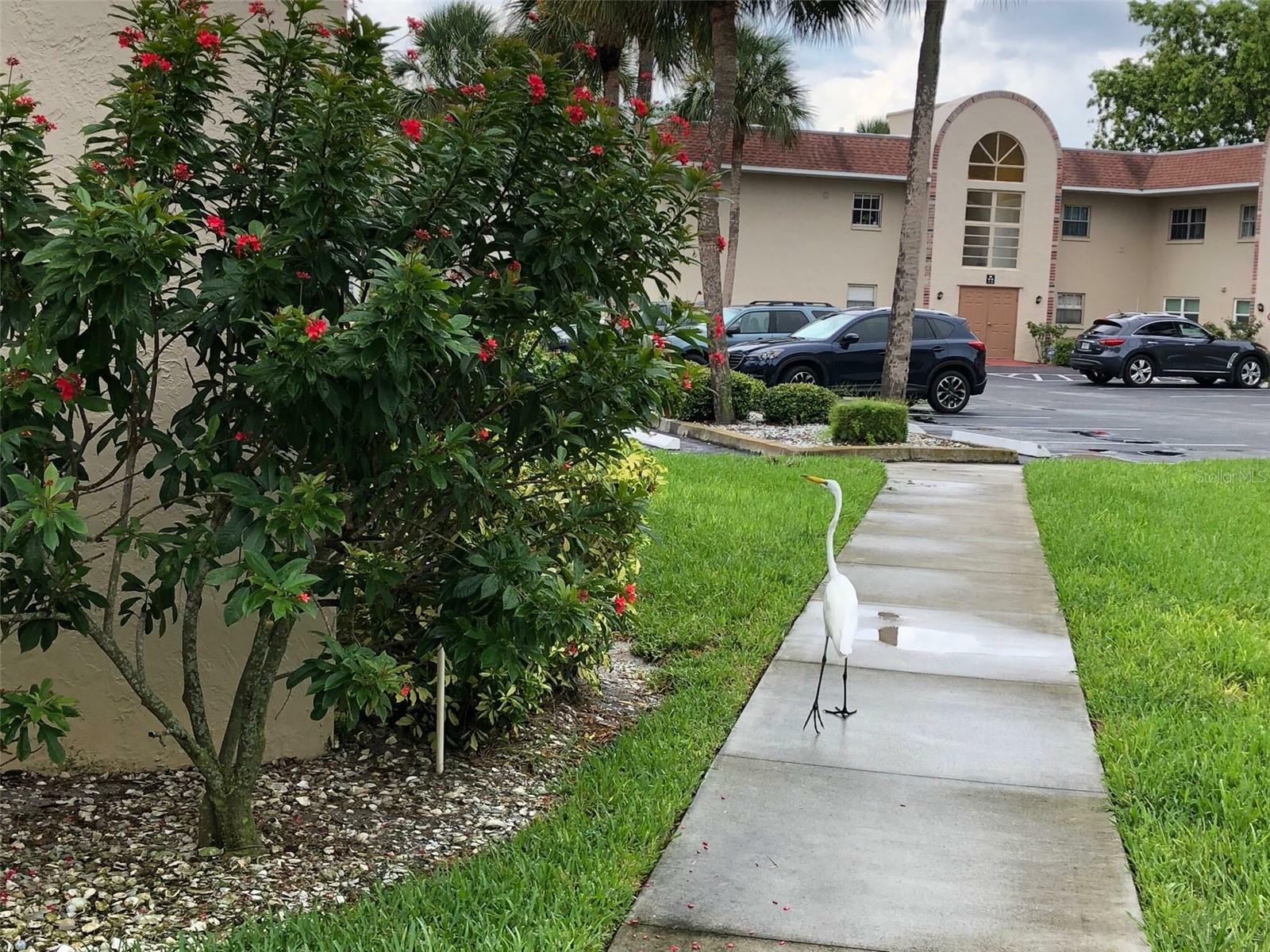 Property Photo:  2727 75th Street W 9A10  FL 34209 