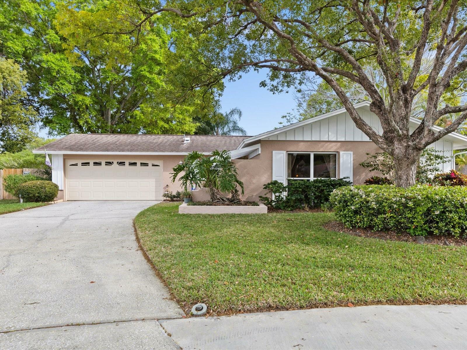 Property Photo:  1397 Greenleaf Court  FL 34689 