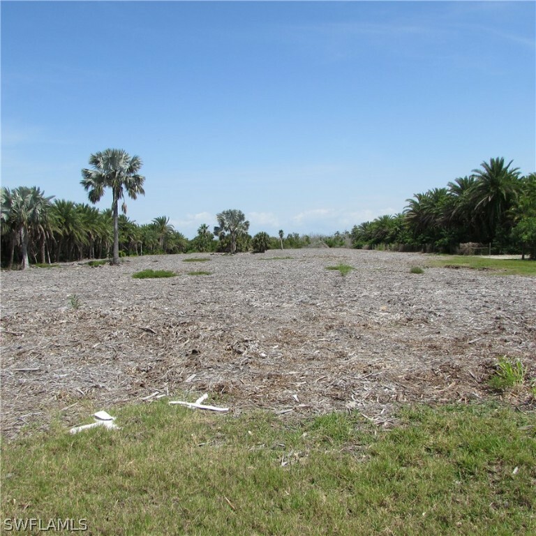 Property Photo:  6250 Masters Landing Drive  FL 33956 