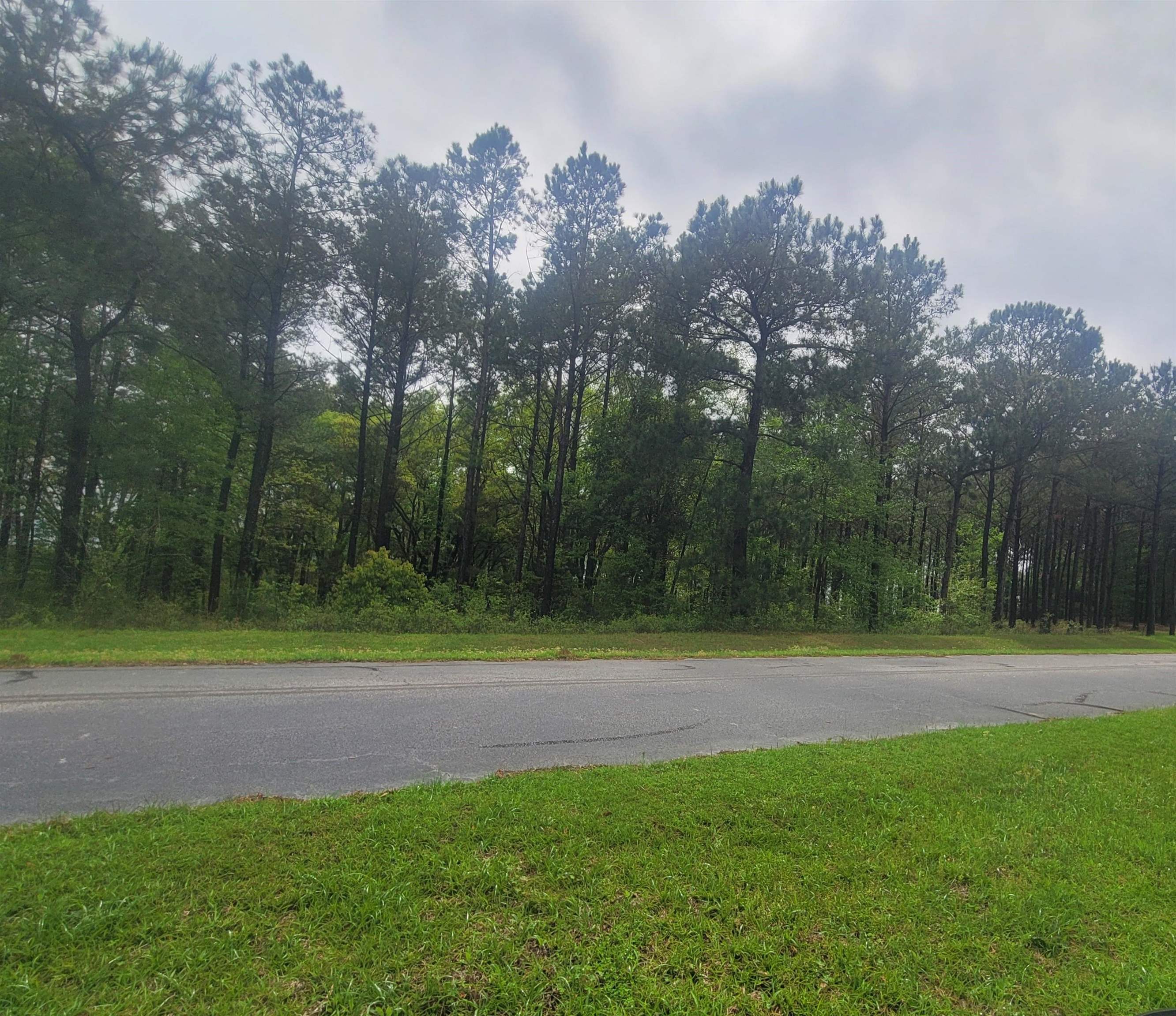 Property Photo:  Lot 19,20 Easy Street  GA 39819 