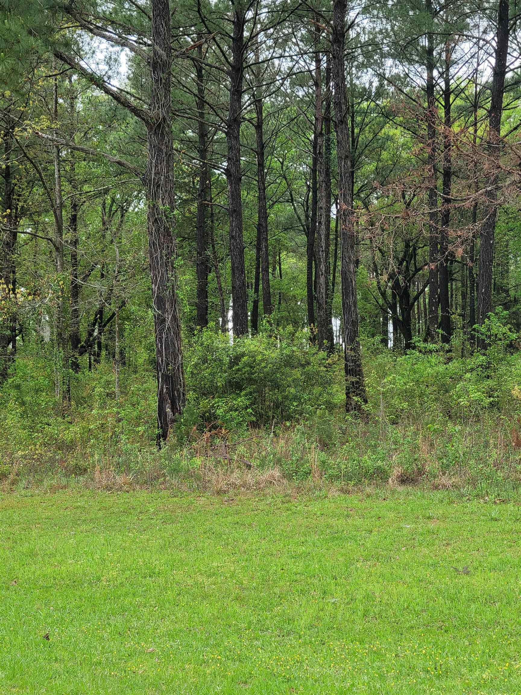 Property Photo:  Lot 4 Blk A Mountain View  GA 39819 