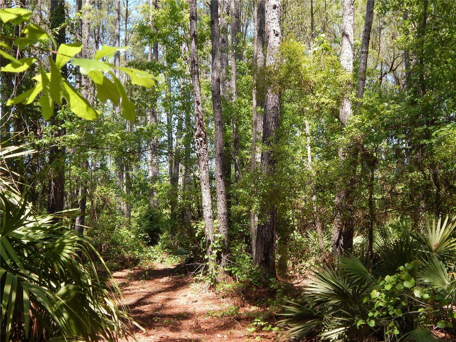 Property Photo:  00 NW Union Park Road  FL 32094 