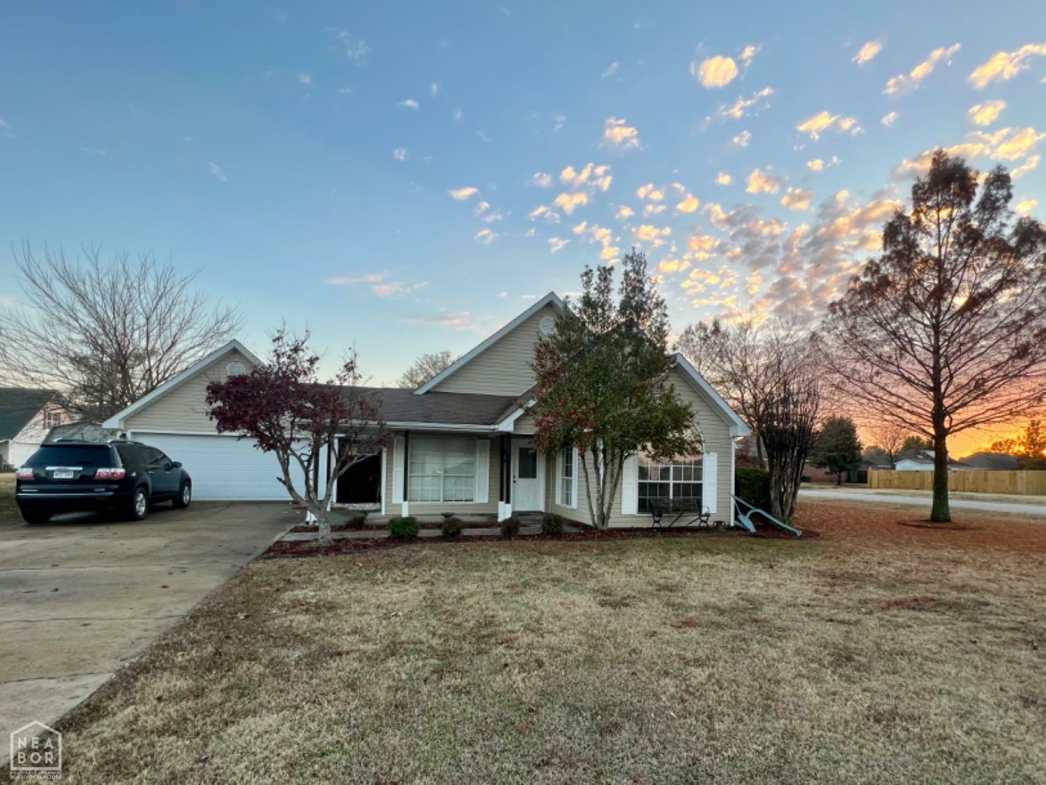 Property Photo:  1217 Pauline Street  AR 72472 