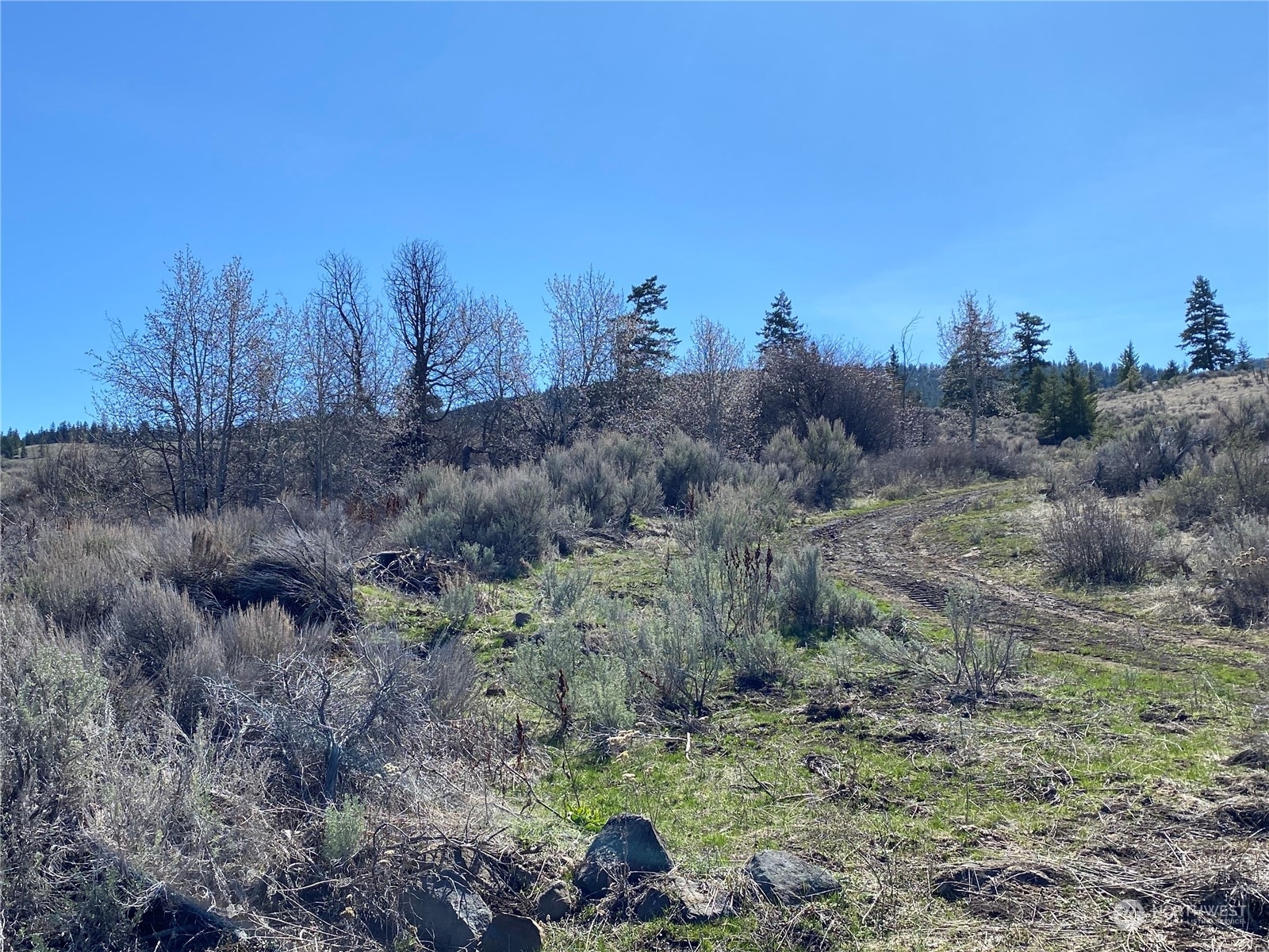 Property Photo:  2106 Black Rock Road  WA 98858 