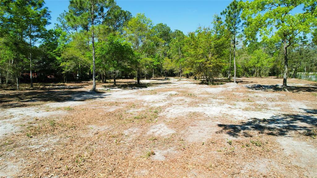 Property Photo:  95201 Springhill Road  FL 32034 