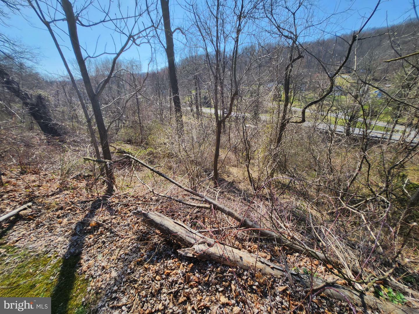 Property Photo:  0 Rte 73  PA 19512 