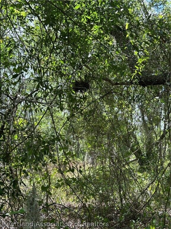 Property Photo: 11573 SE Wolf Ave FL 34265