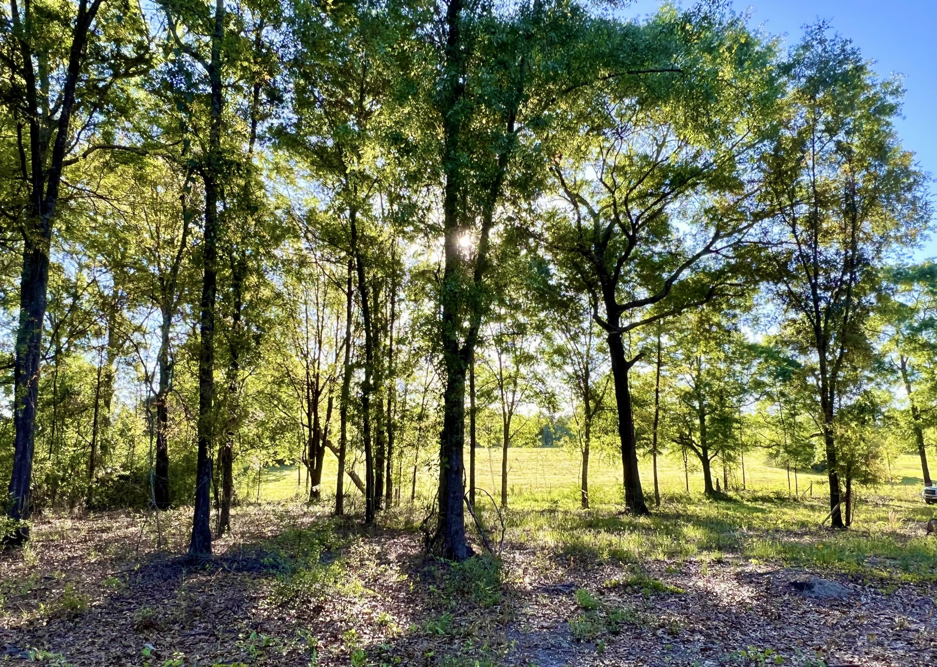Property Photo:  3.75 Acres Hester Church Road  FL 32531 