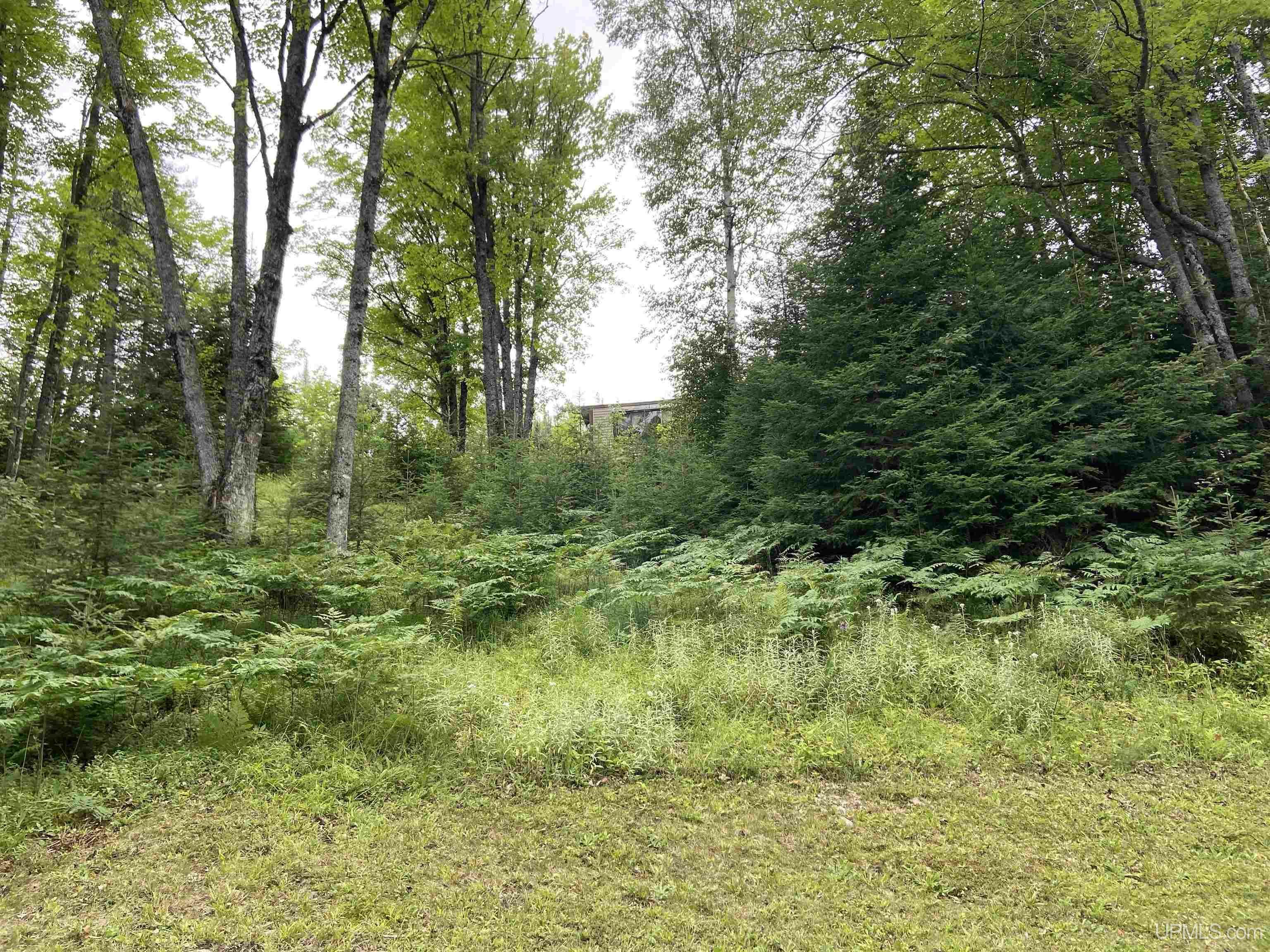 Property Photo:  16928 Gold Road  MI 49861 