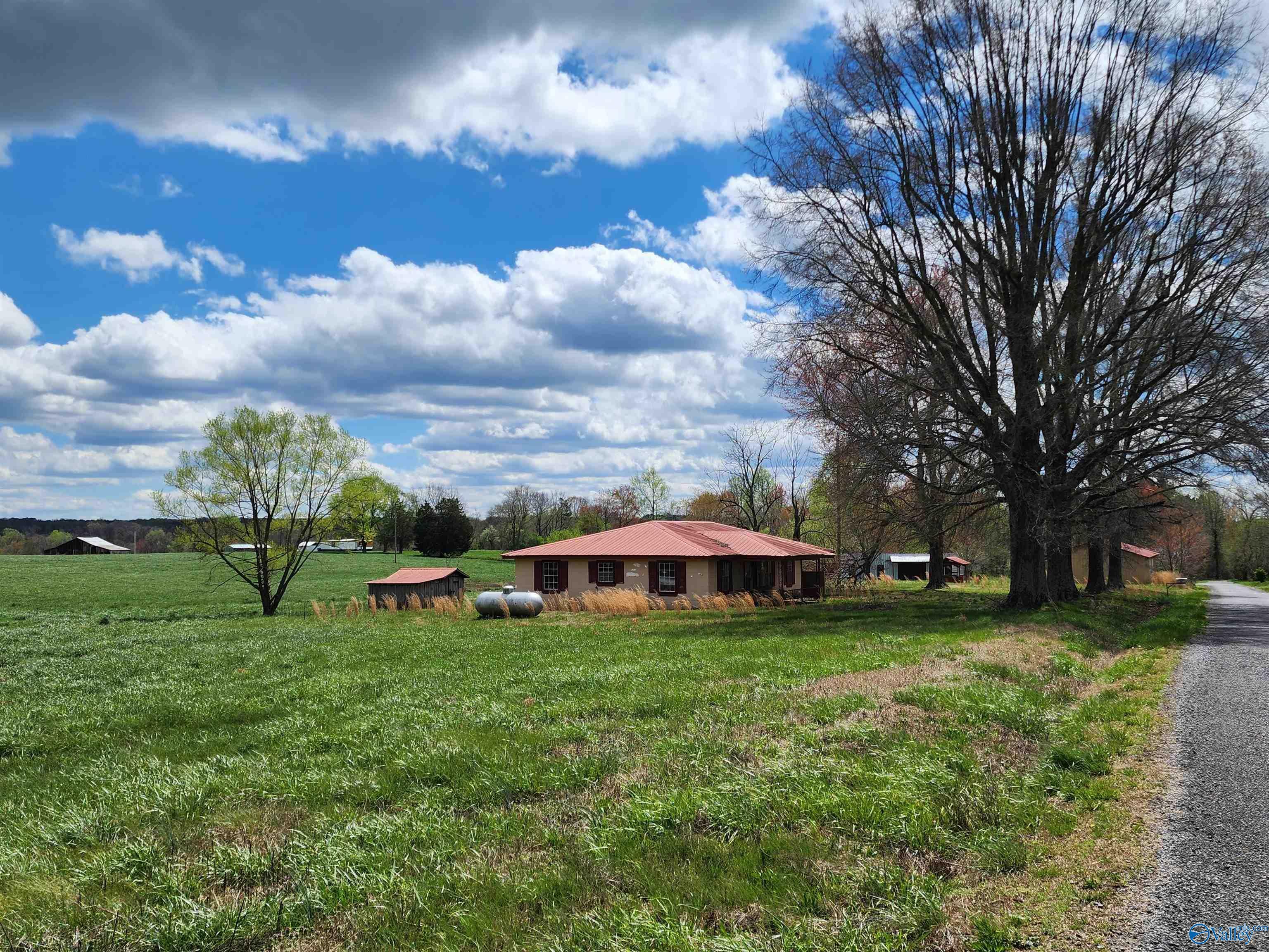 Property Photo:  127 County Road 777  AL 35981 