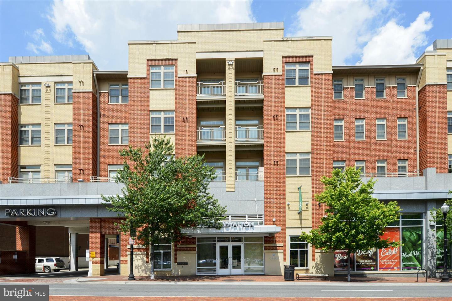 309 Holland Lane 331  Alexandria VA 22314 photo