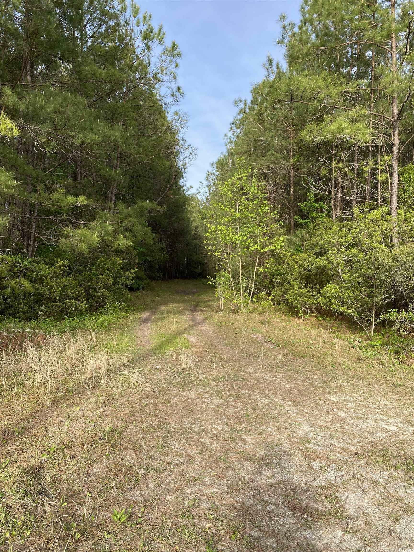 Property Photo:  9.61 Acres Hugo Rd.  SC 29527 