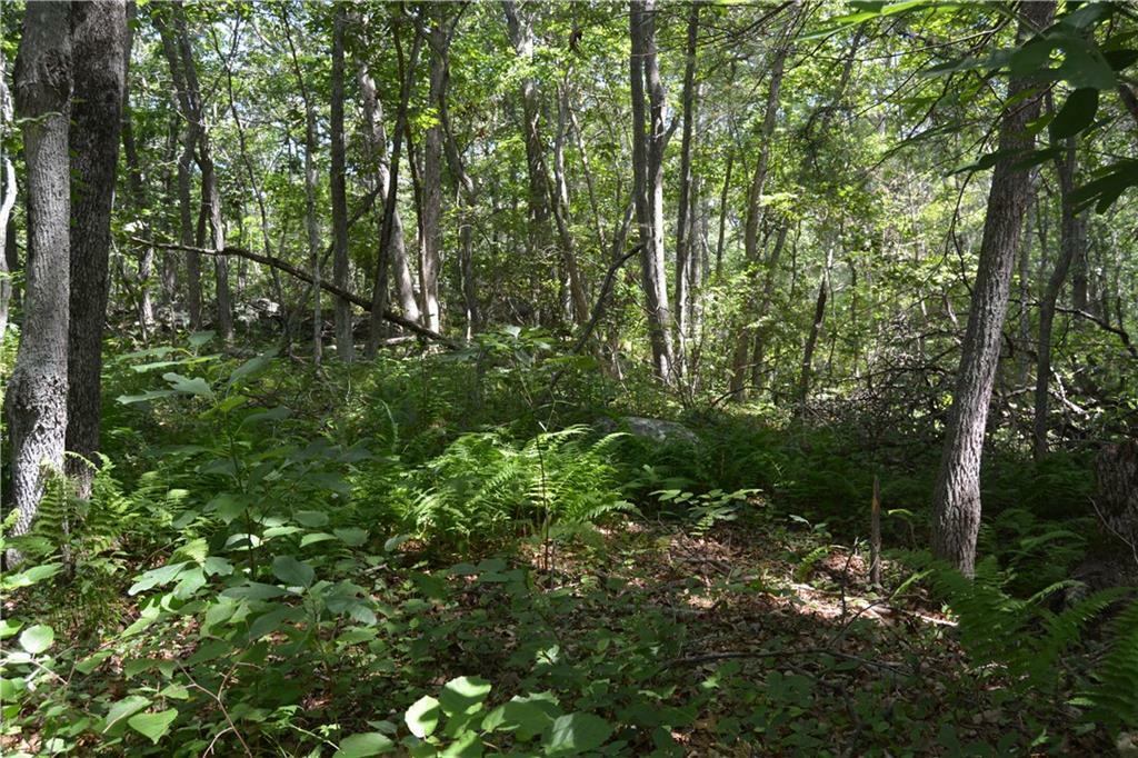 Property Photo:  0 Maxson Hill Road  RI 02804 