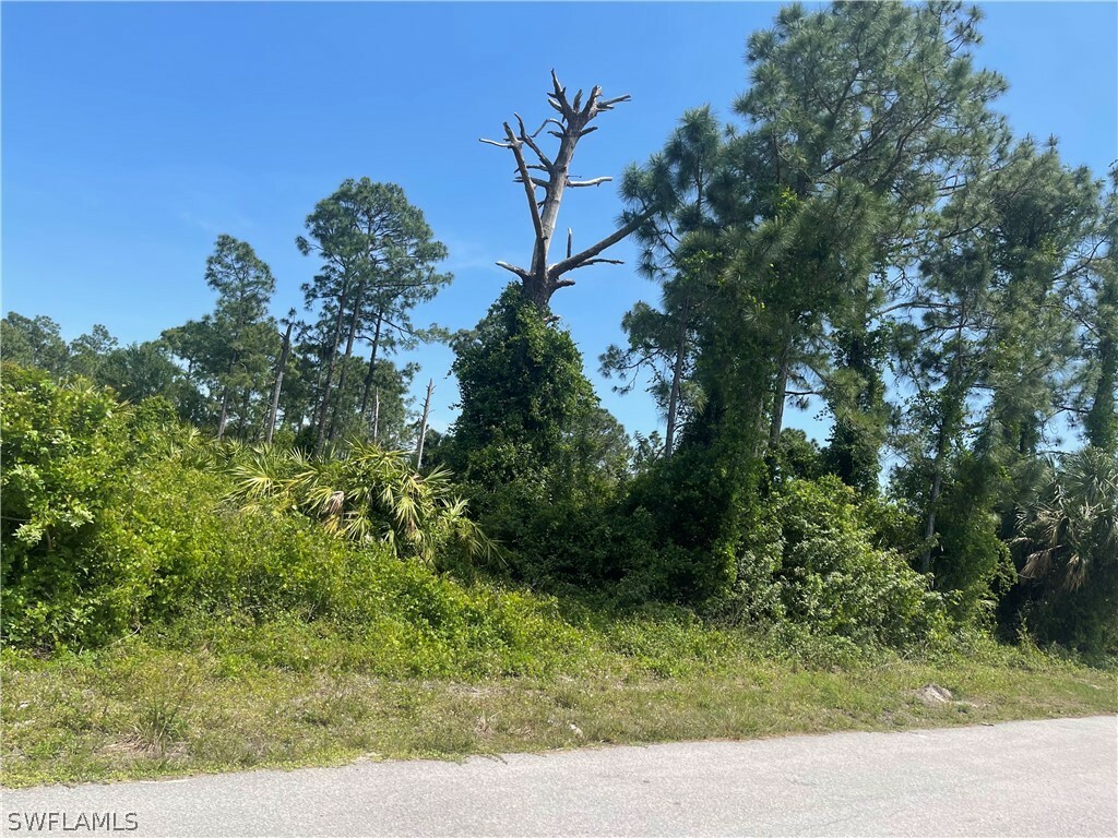 Property Photo:  767 Gaylord Avenue S  FL 33974 