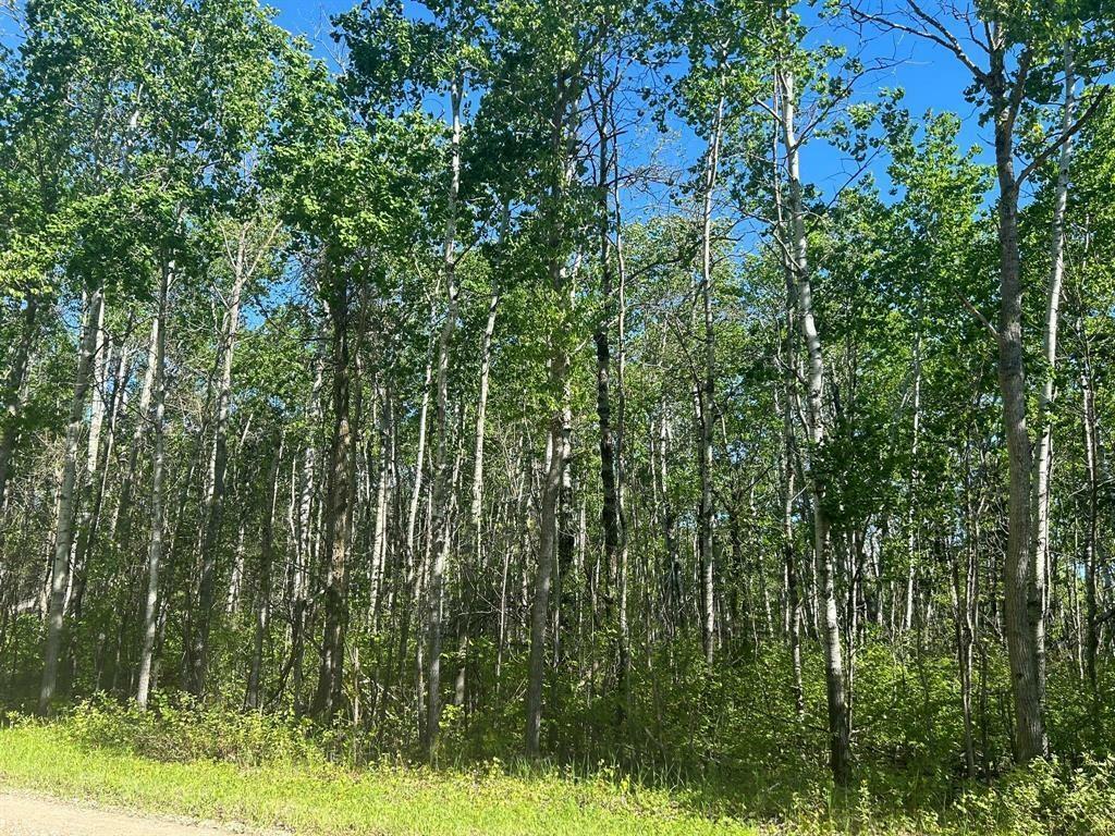 Photo de la propriété: 7 Ironwood Point Road MB R0E 2A0