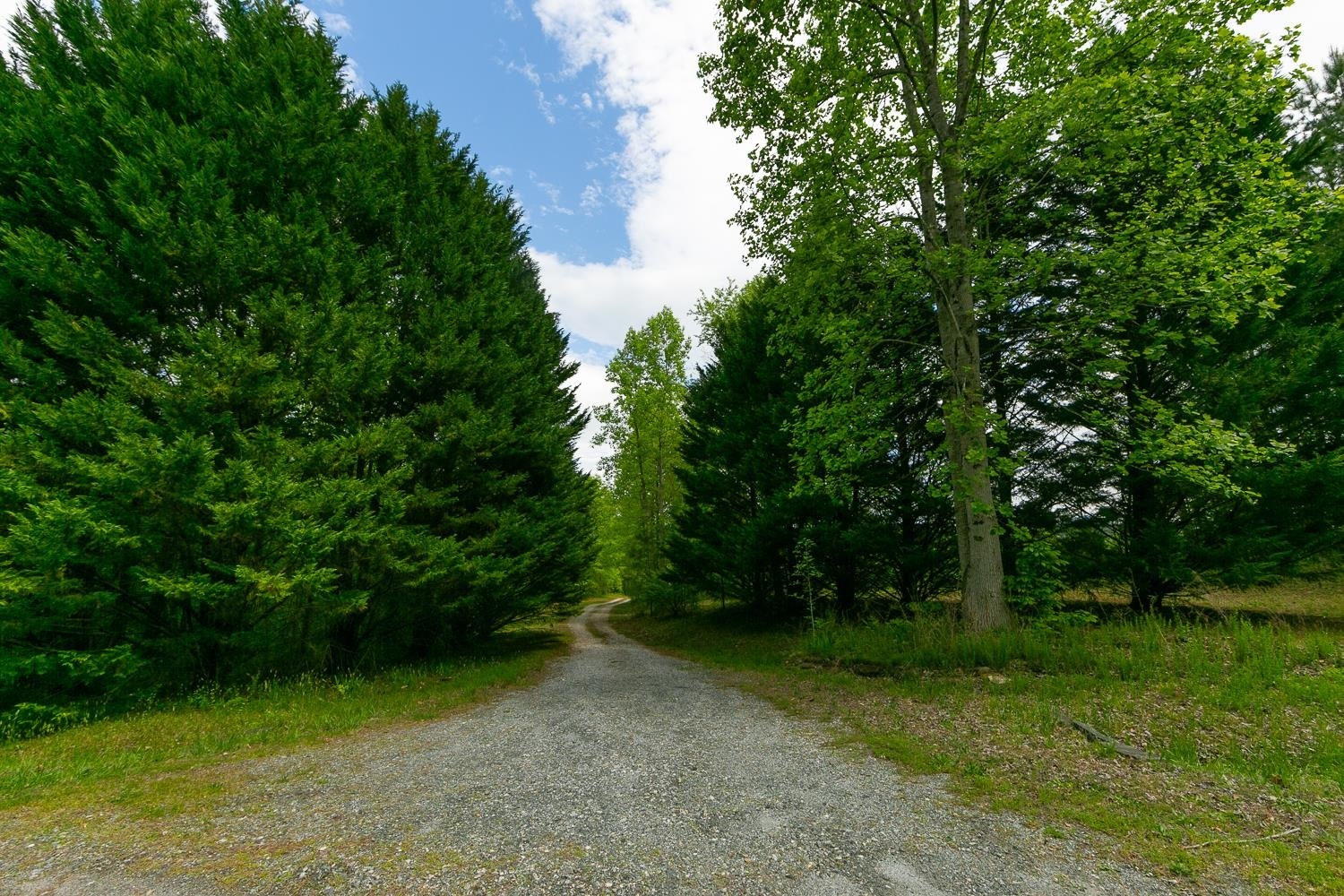 Property Photo:  1590 Centennial Road  NC 28167 