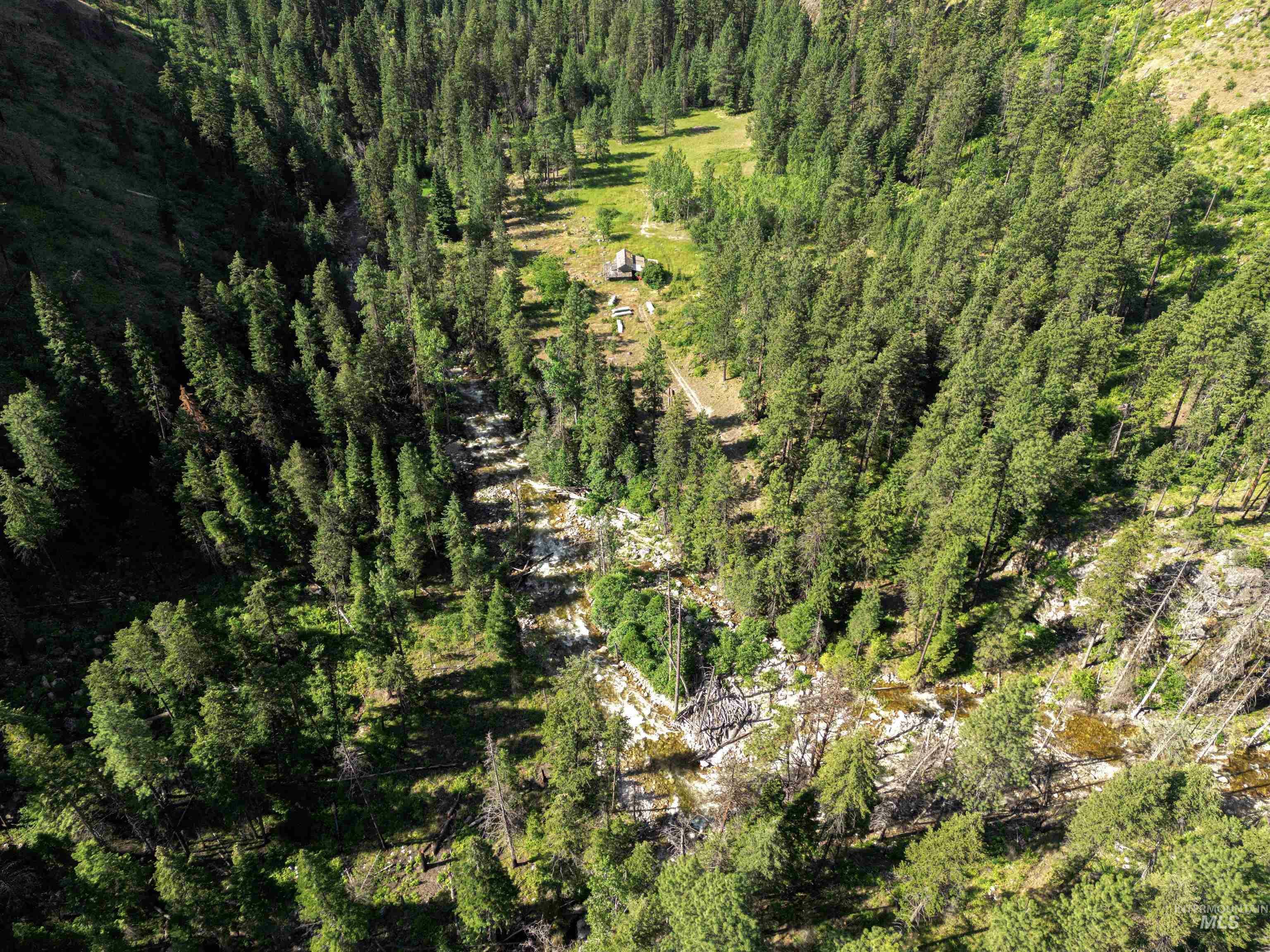 Property Photo:  3869 Big Salmon River Rd  ID 83549 