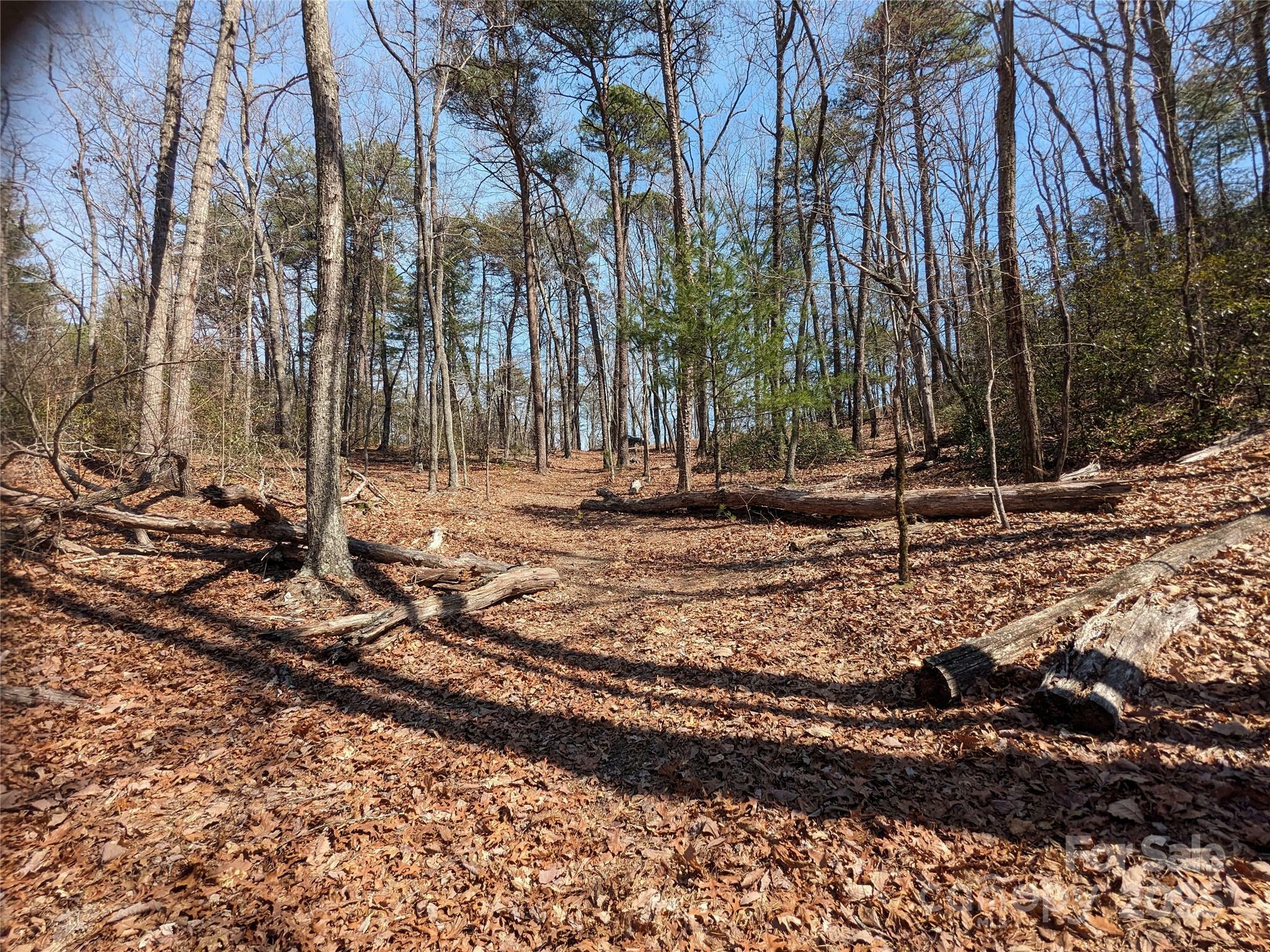 Property Photo: 8636 Sleepy Hollow Road 12 NC 28612