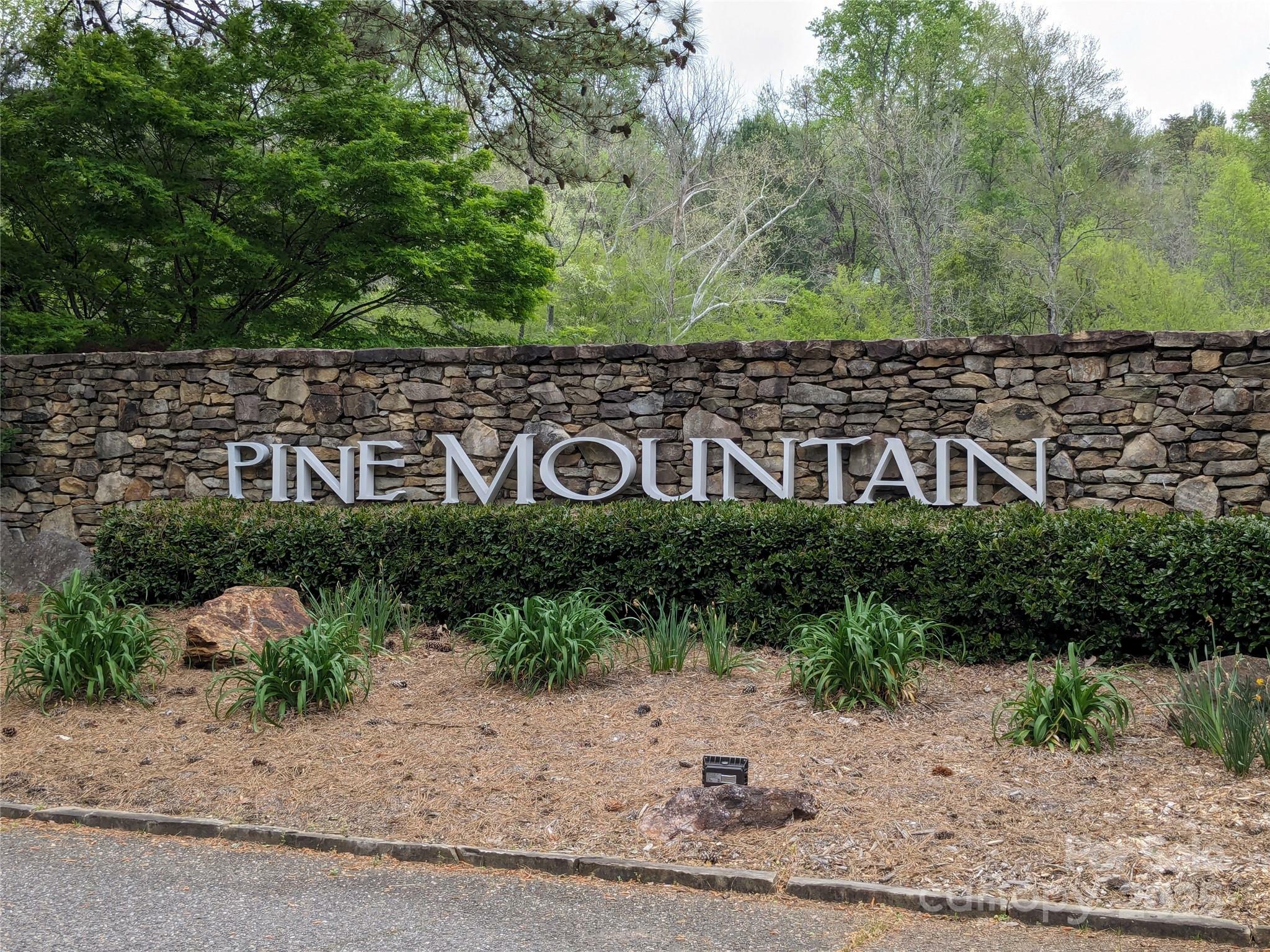 8624 Sleepy Hollow Road 13  Connelly Springs NC 28612 photo