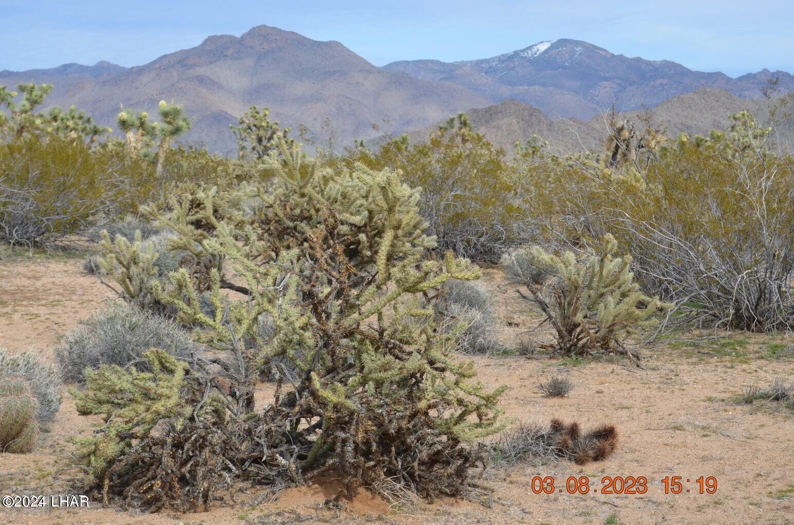 Property Photo:  2725 E Fireside Dr  AZ 86438 