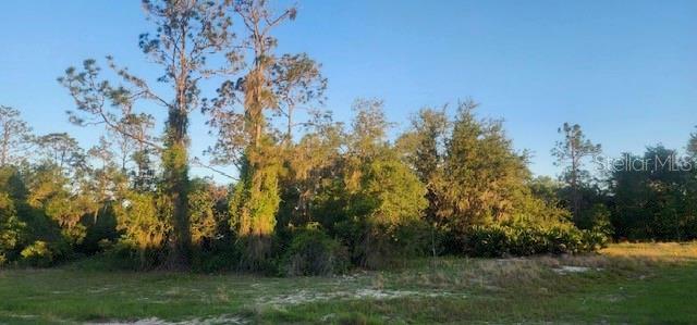 Property Photo:  1331 Congo Drive  FL 34759 