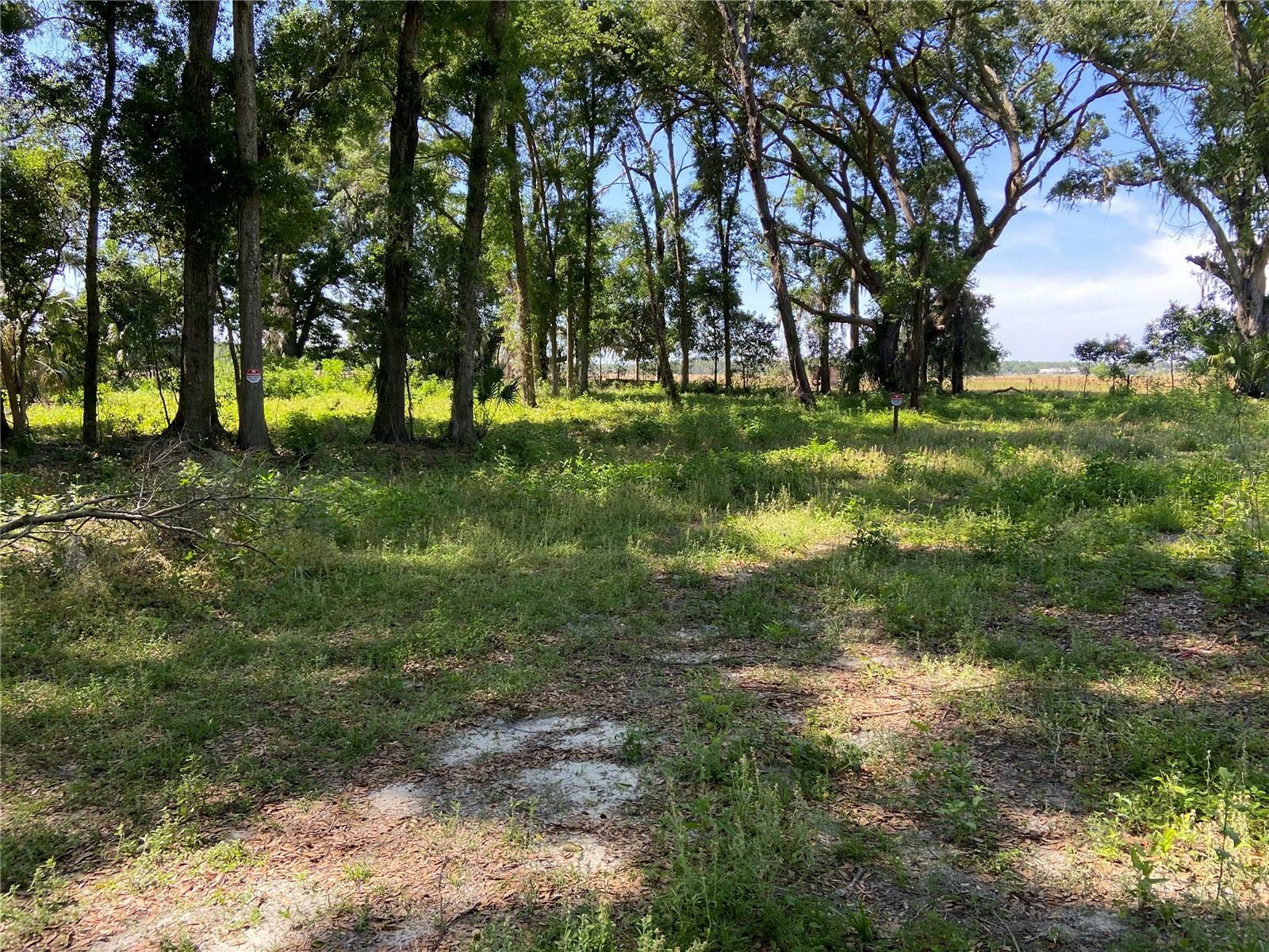 Property Photo:  0 SW 177th Ct Lot 1  FL 34432 