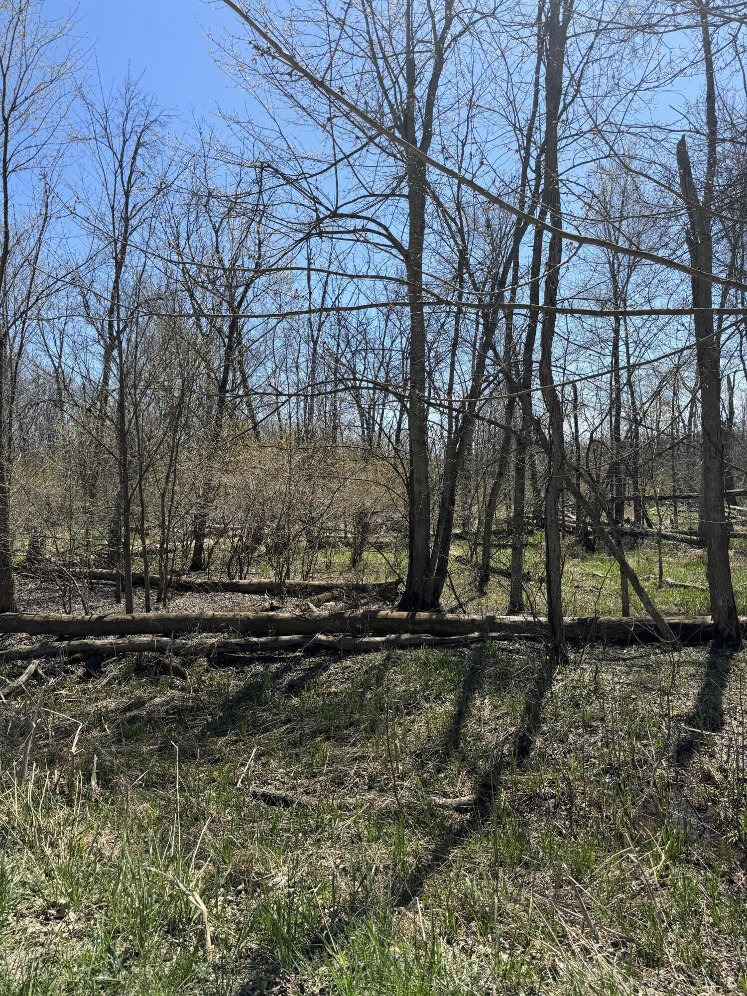 Property Photo: Vl 18th Avenue MI 49056