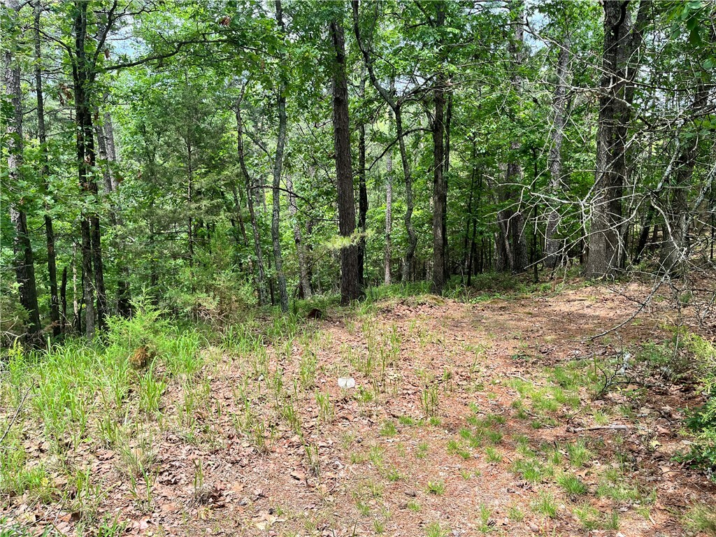 Property Photo:  Lot 6 Stoppel Road  AR 72632 