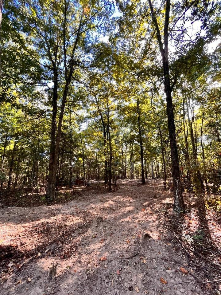 Property Photo:  0 Sportsman Club Lane  KY 42276 