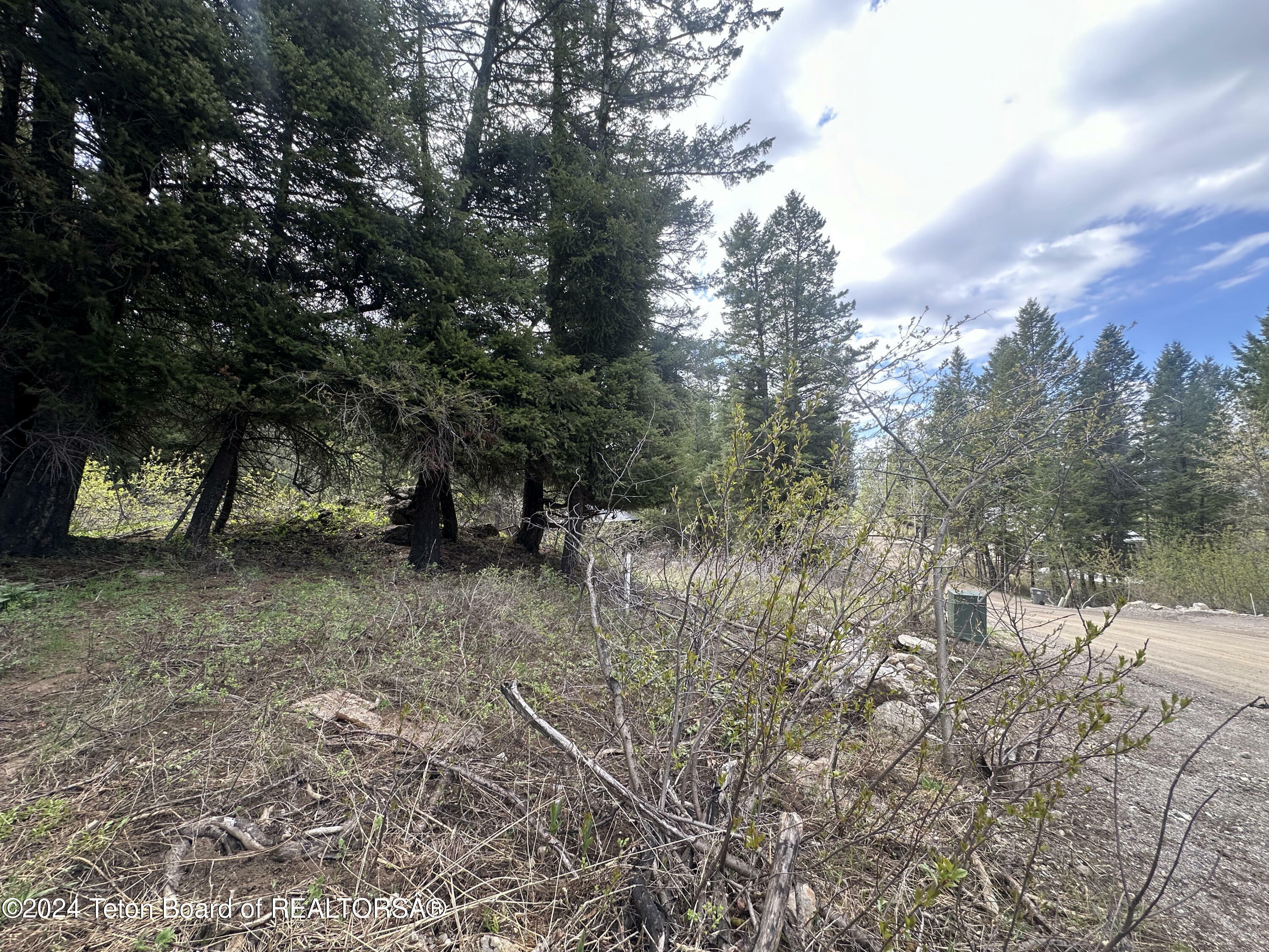 Property Photo:  Lot 22 Cedar Dr  WY 83127 