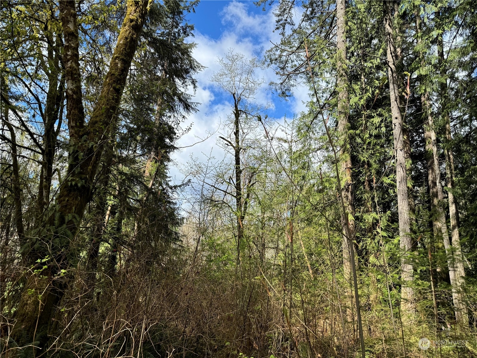 Property Photo:  12512 Westbrook Drive SW  WA 98367 