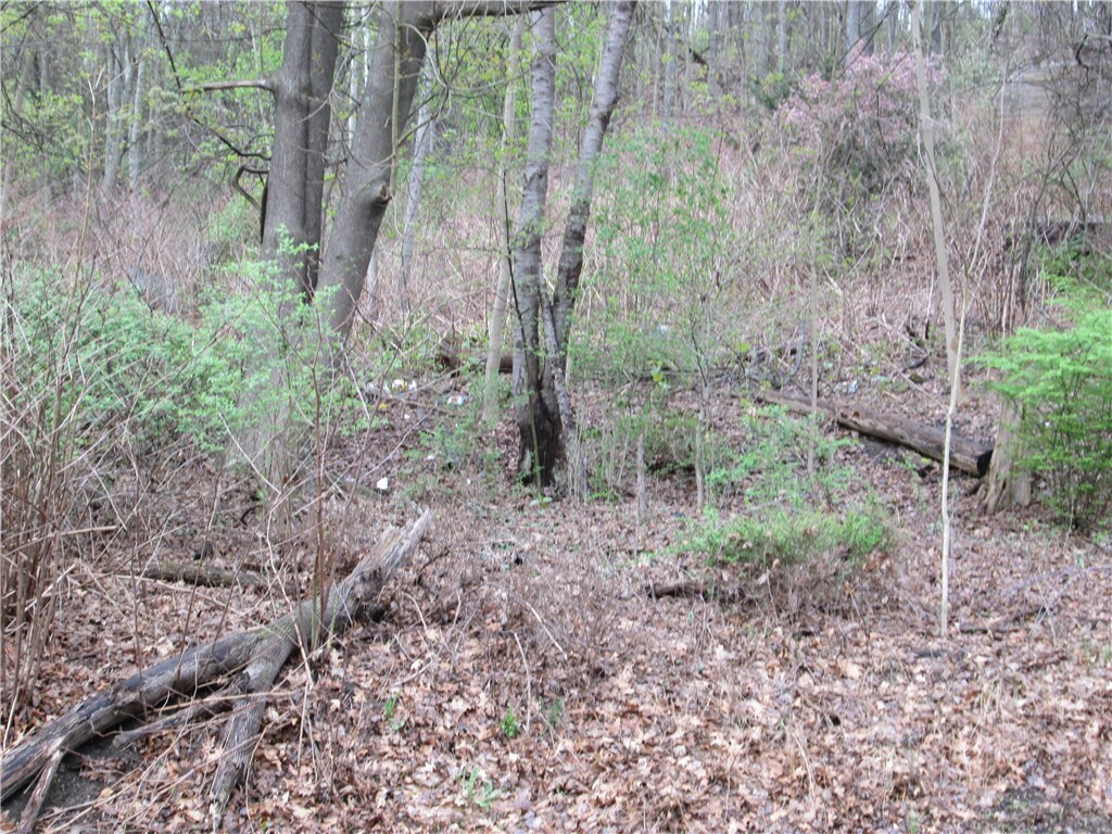 Property Photo:  2807 13th Ave  PA 15010 