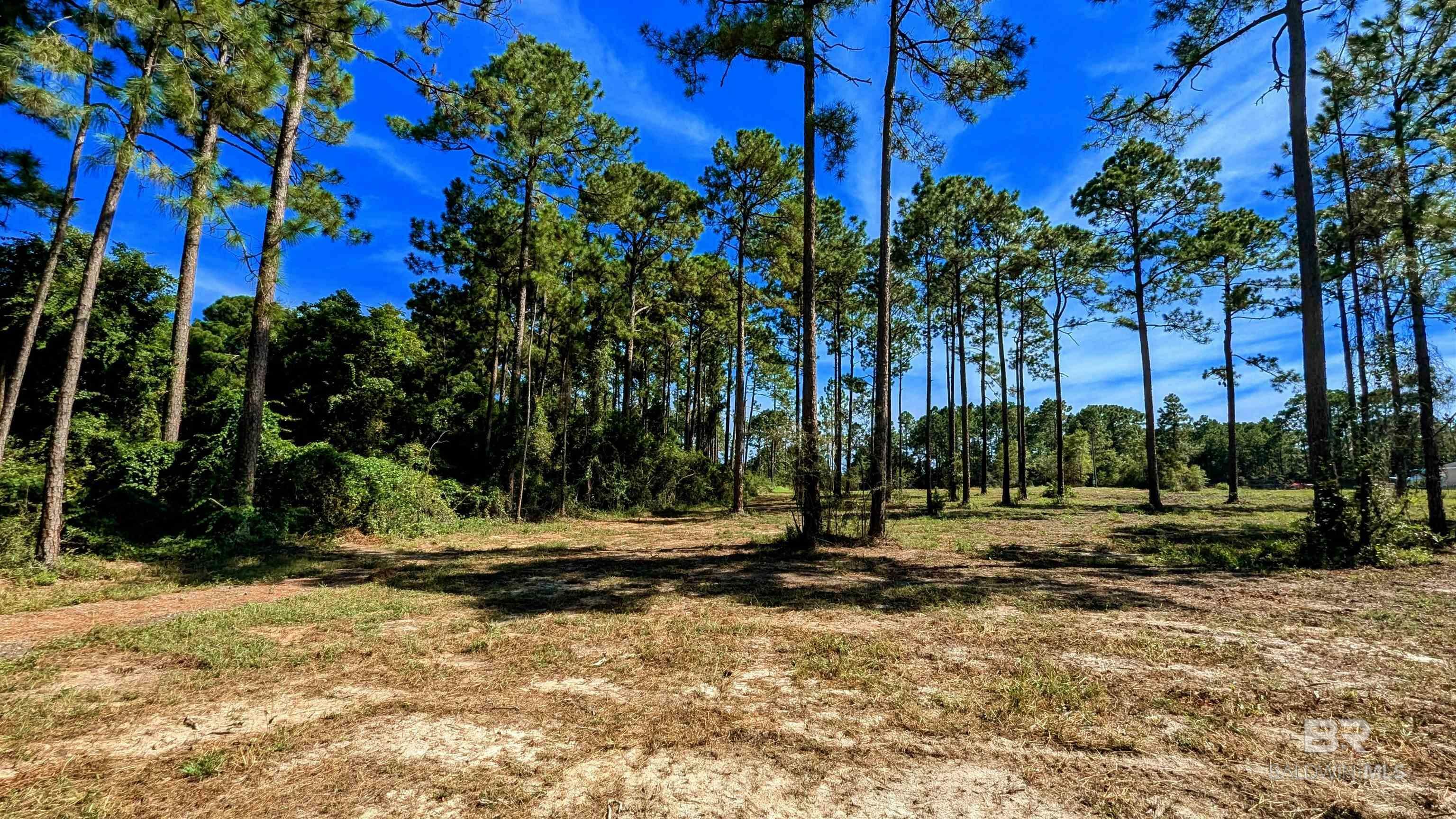 Property Photo:  31870 Grafton Road  AL 36549 