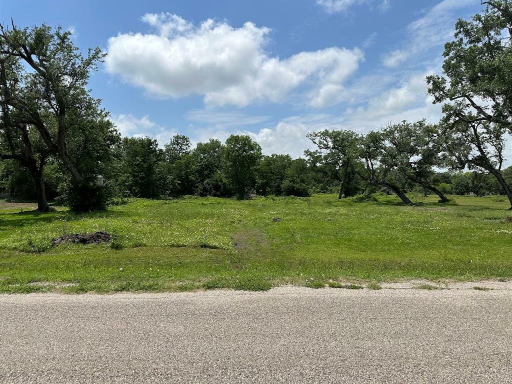 Property Photo:  00 County Road 335  TX 77422 